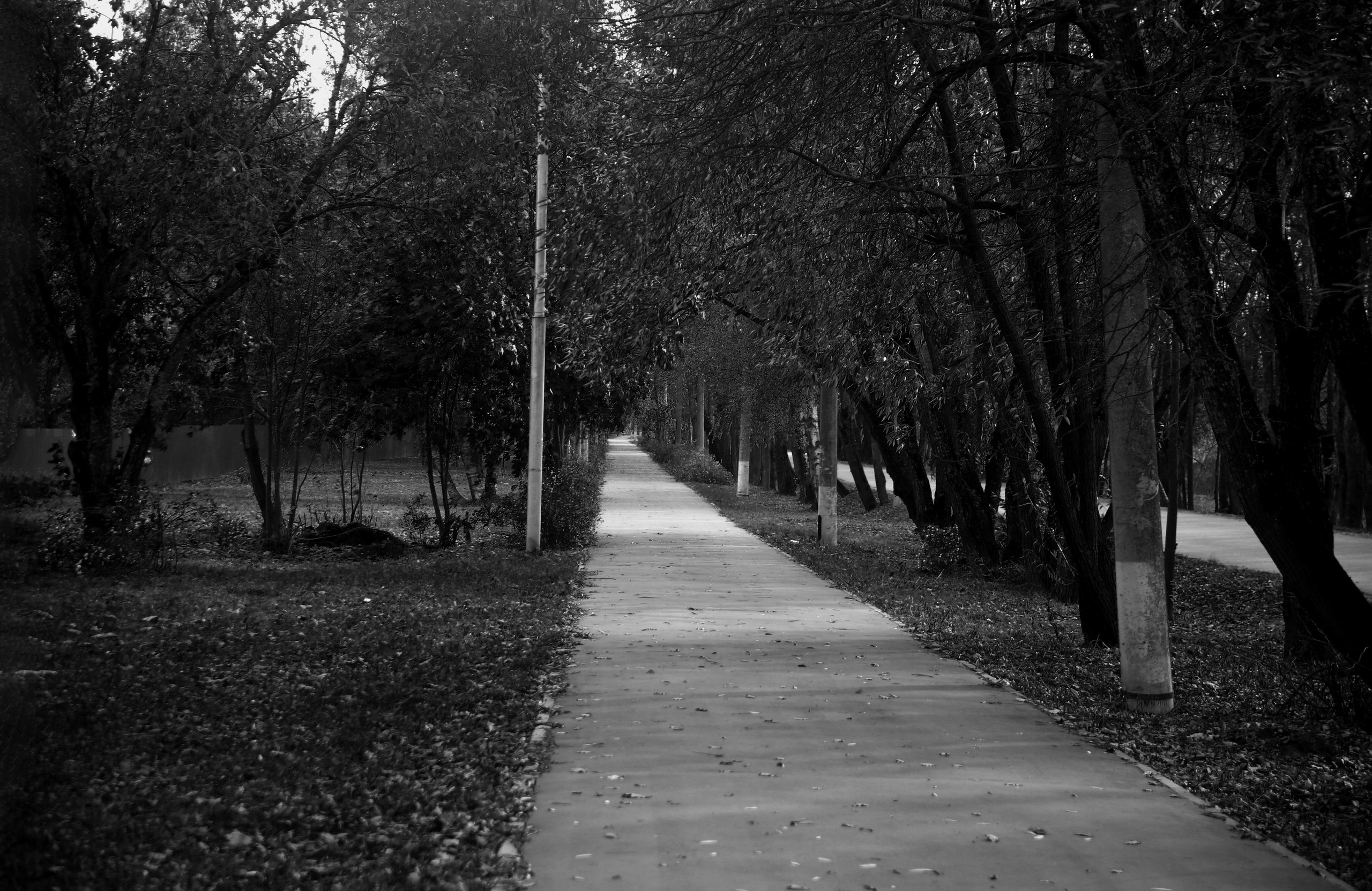 Всё, что я вижу вокруг себя