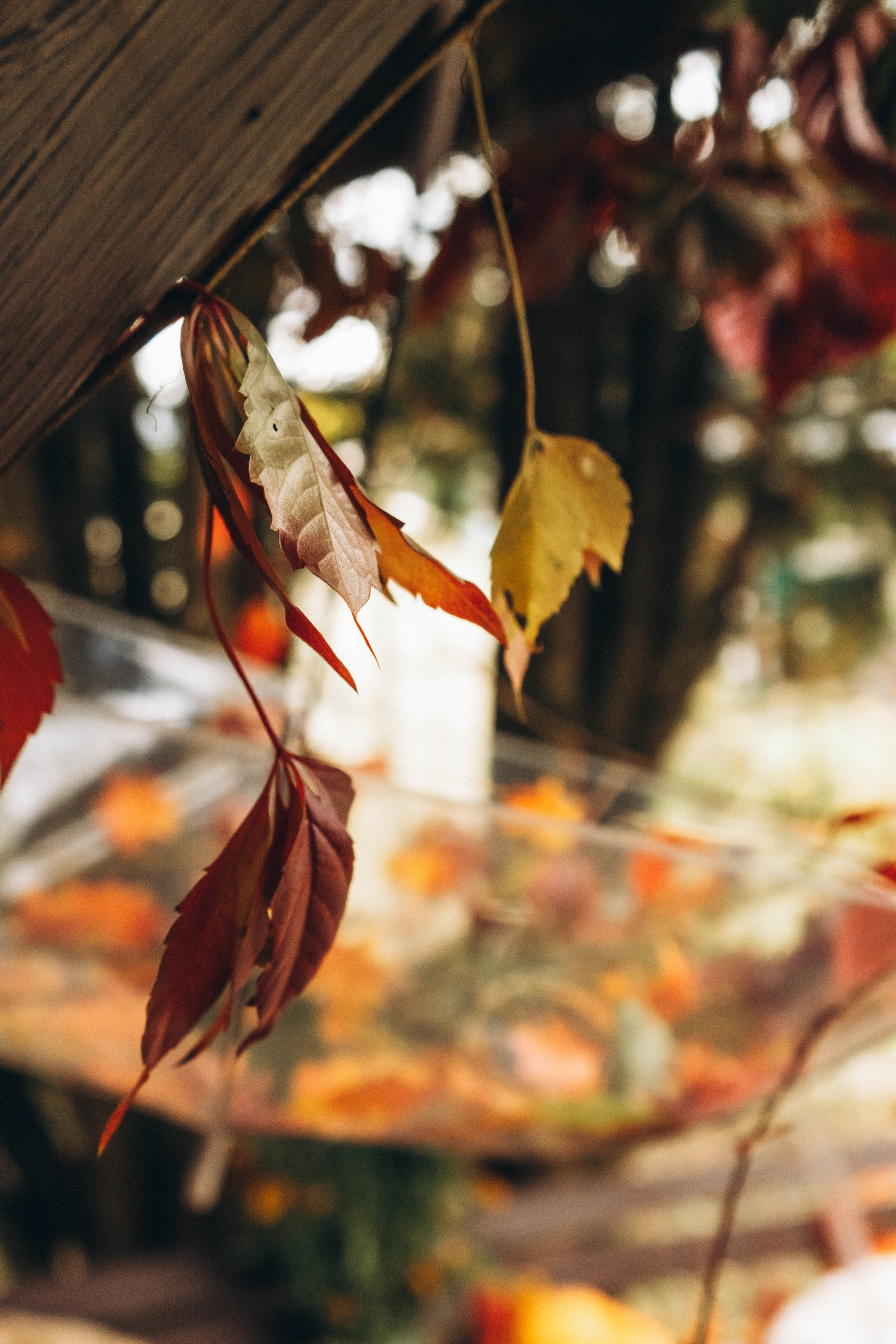 Съемка студии «Аж уютно». Фотограф Москва Валерия Веденина