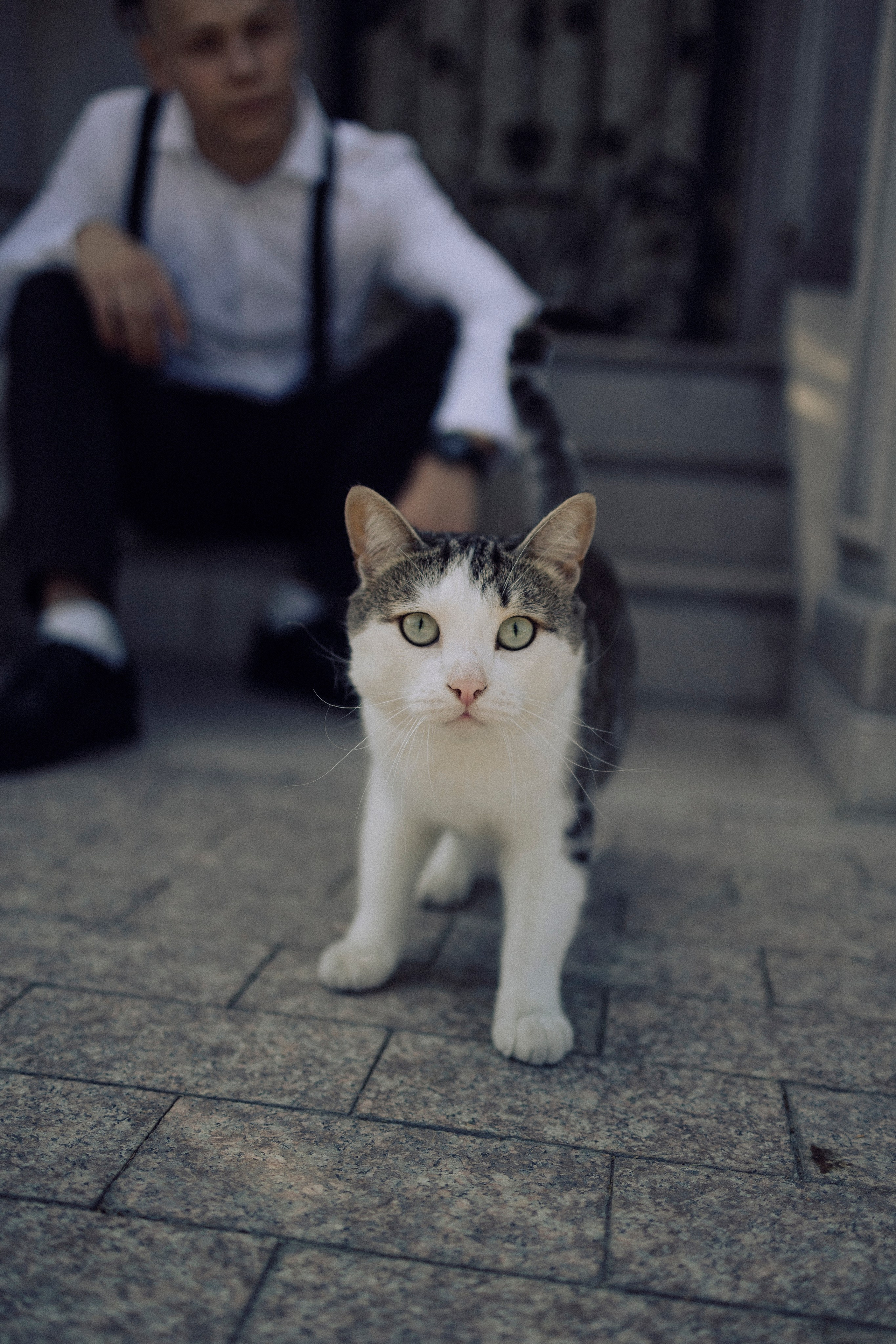 Виктор и Наталья. Свадебный и портретный фотограф Тюмень