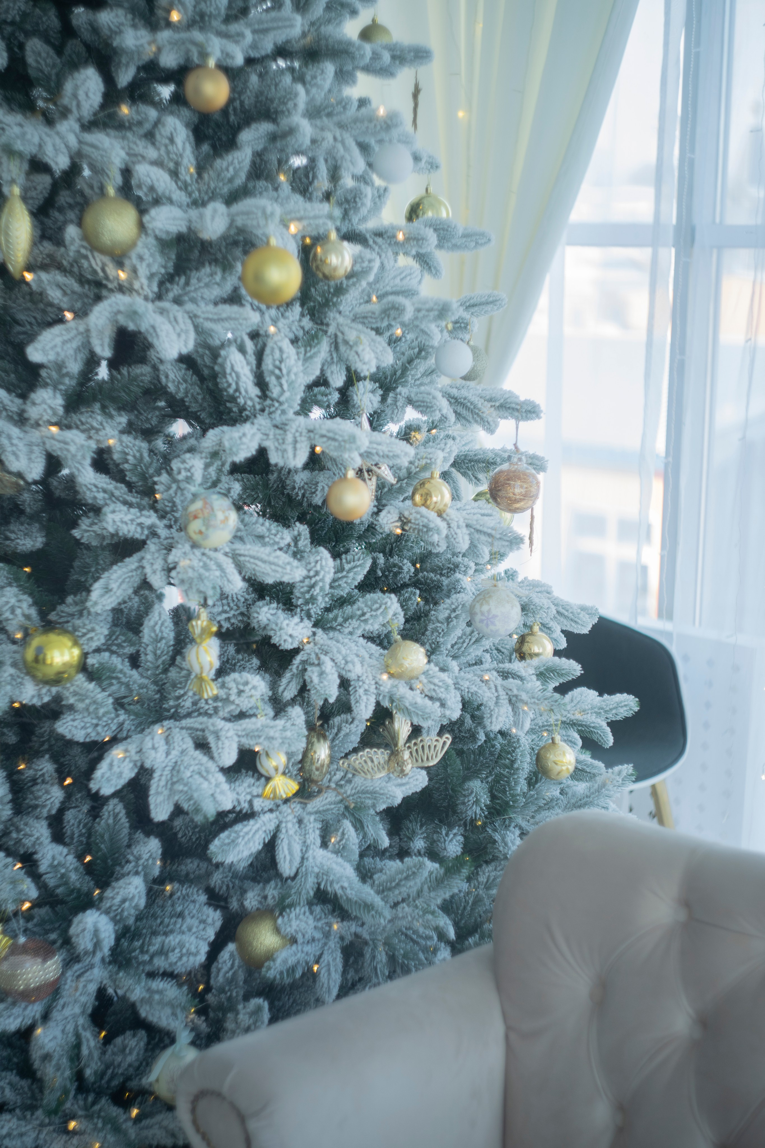 Фотограф в Улан-Удэ, низкие цены. Фотосъемка семейная, детская в городе. Фотограф в Улан-Удэ. Свадебный фотограф в Улан-Удэ