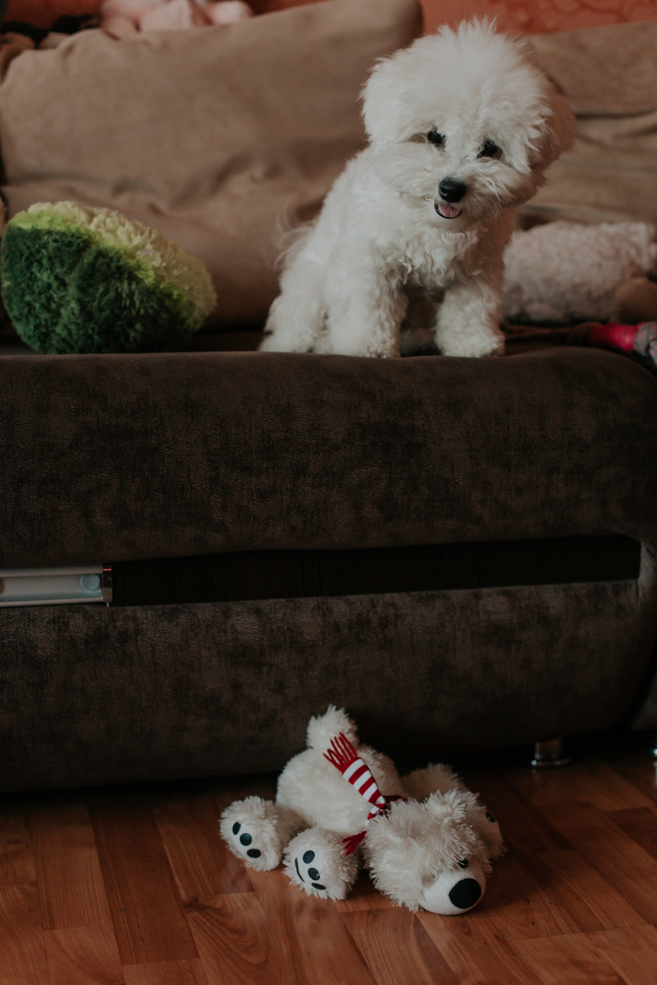 Life style. Фотограф в Киселёвске Татьяна Трухалева