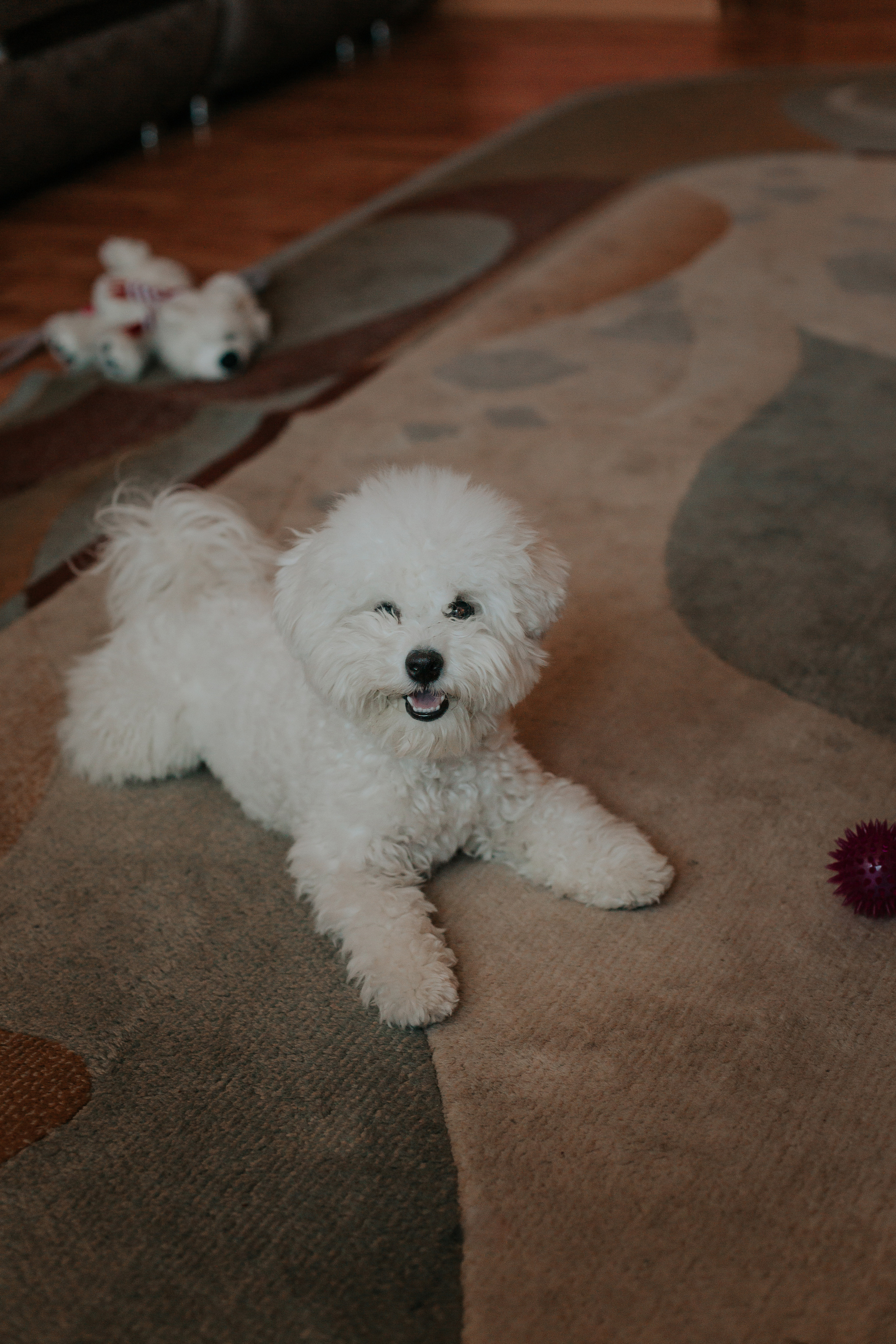 Life style. Фотограф в Киселёвске Татьяна Трухалева