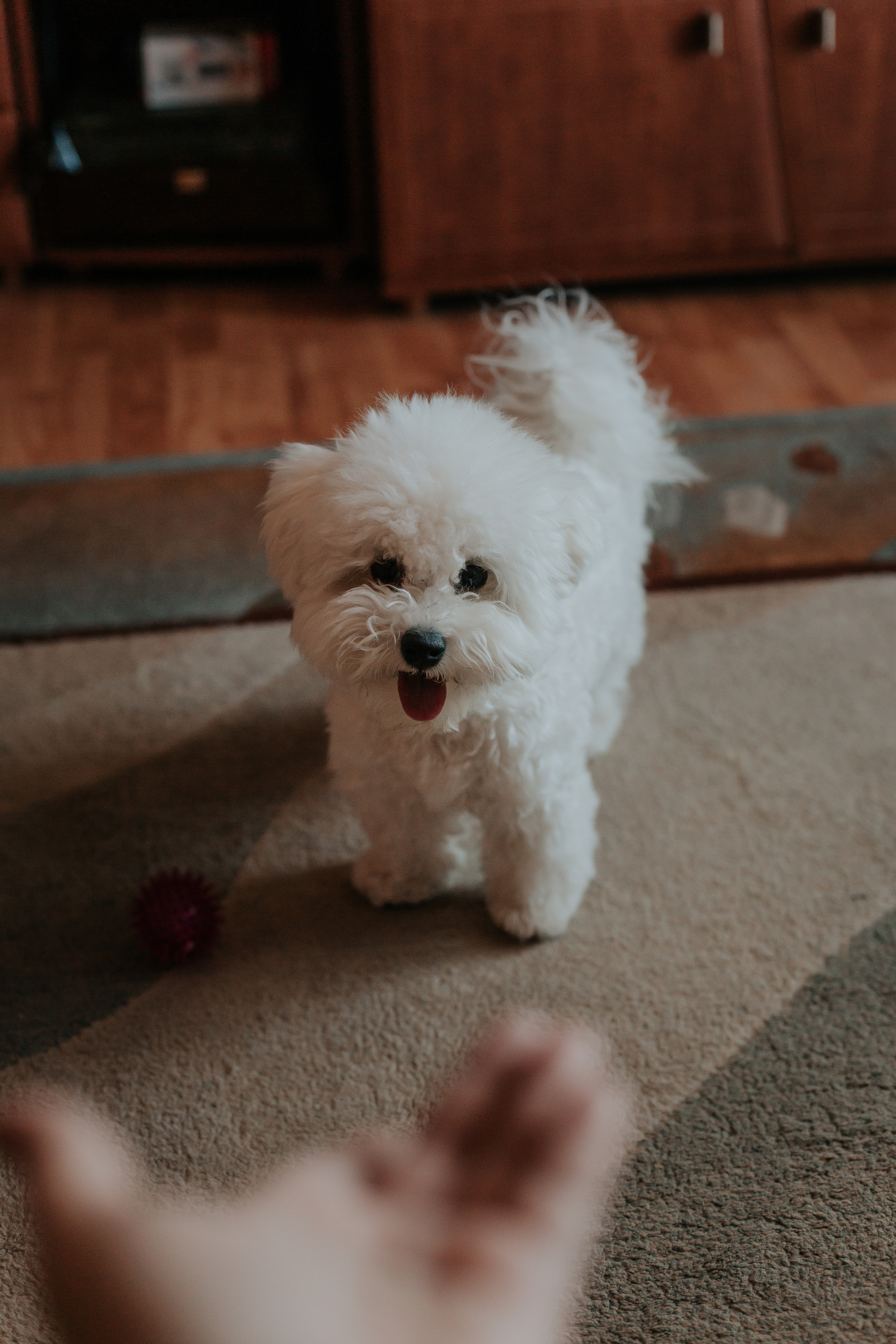 Life style. Фотограф в Киселёвске Татьяна Трухалева