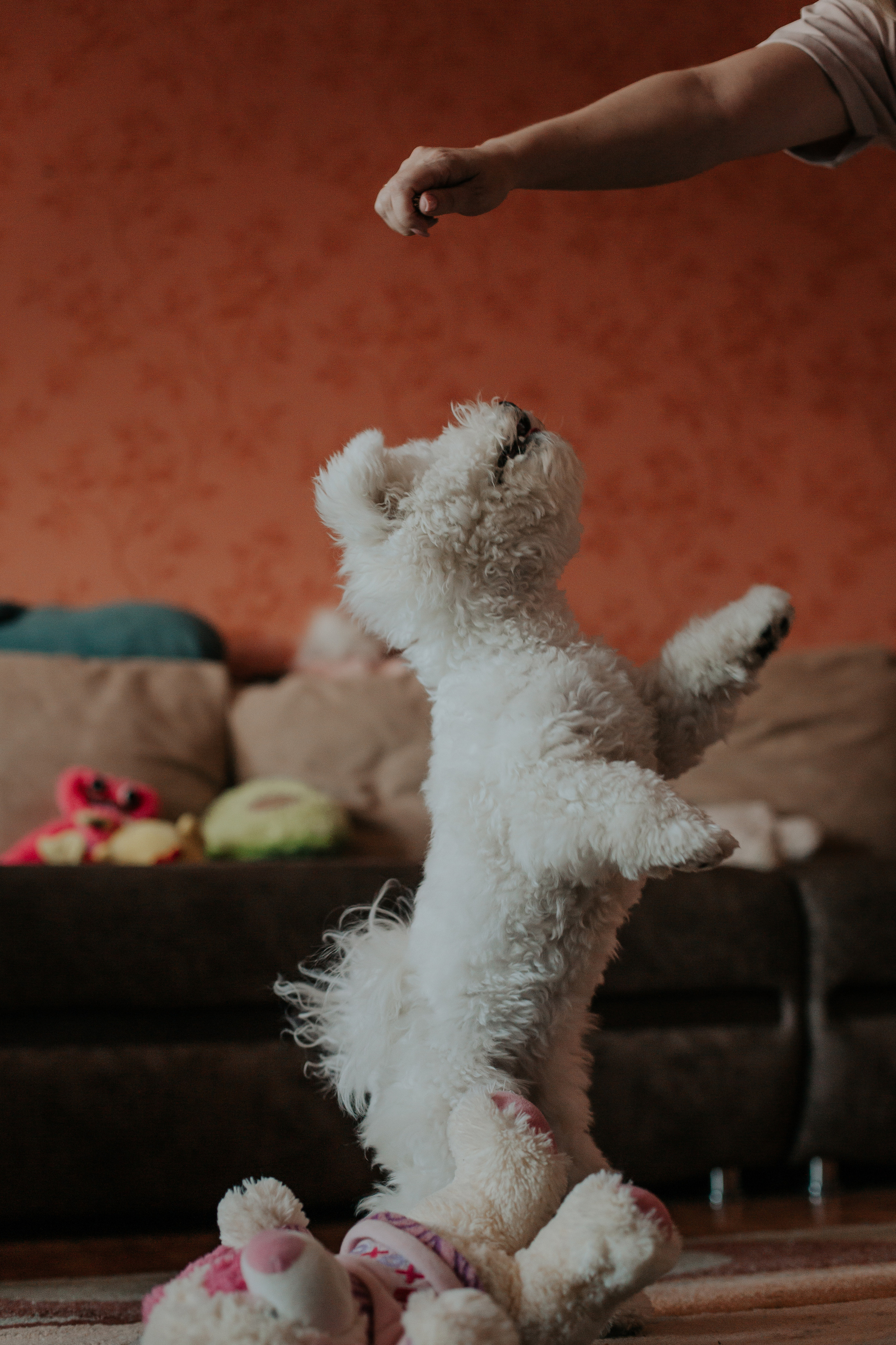 Life style. Фотограф в Киселёвске Татьяна Трухалева