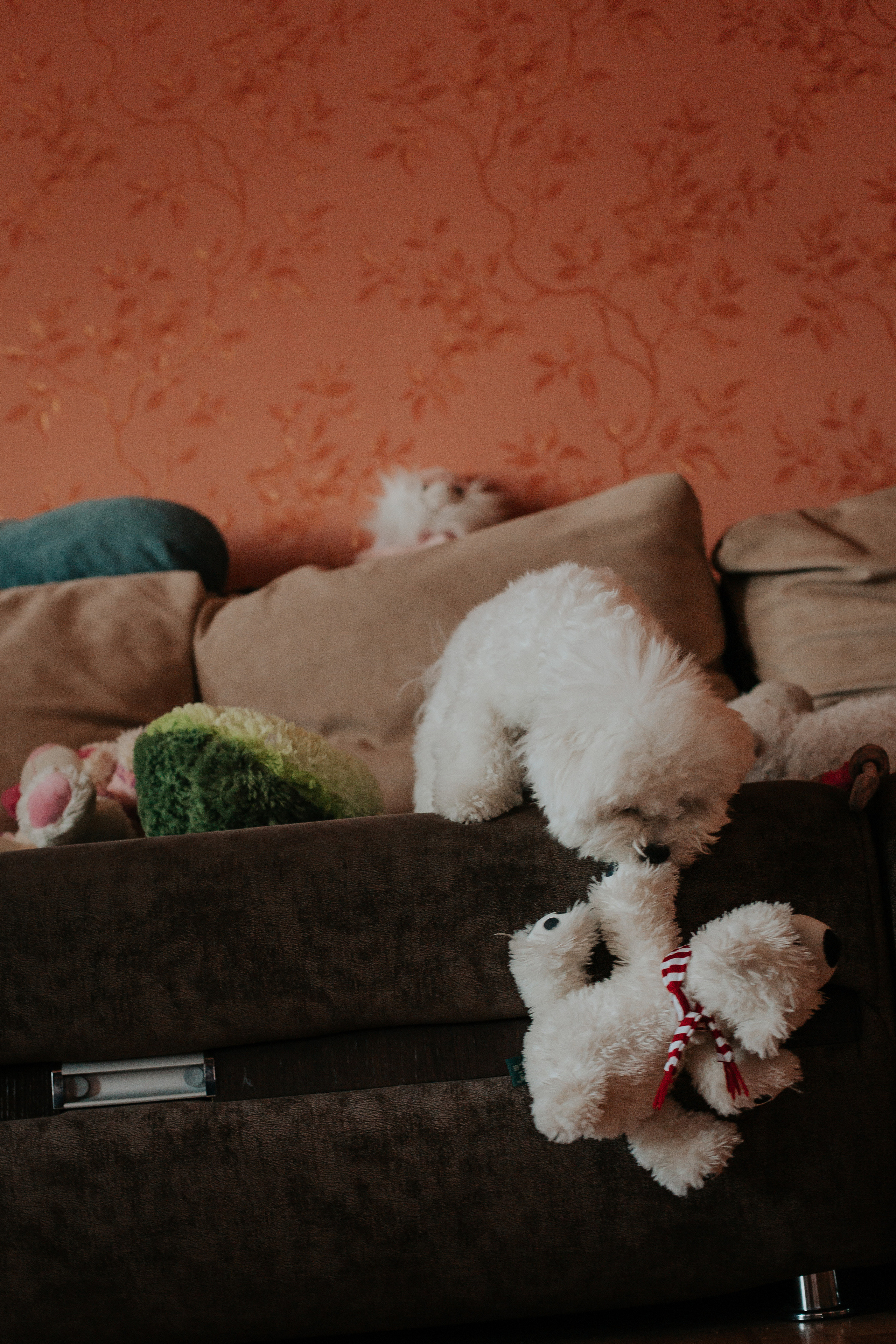 Life style. Фотограф в Киселёвске Татьяна Трухалева