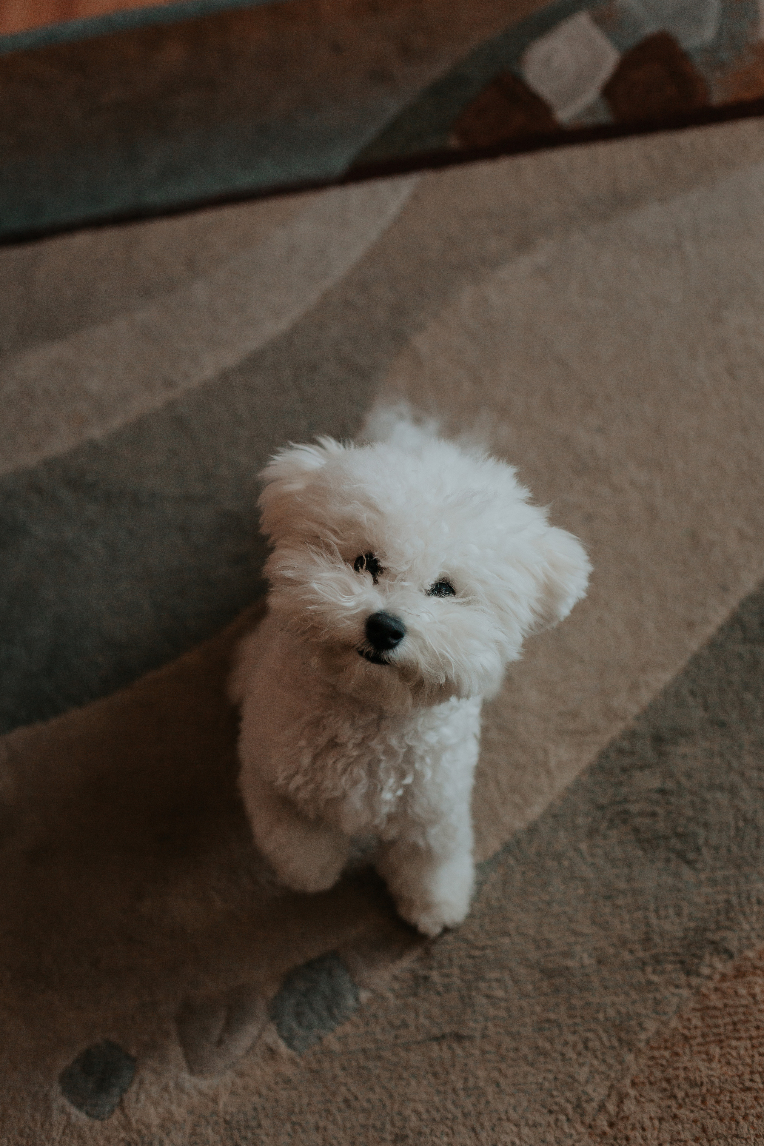 Life style. Фотограф в Киселёвске Татьяна Трухалева