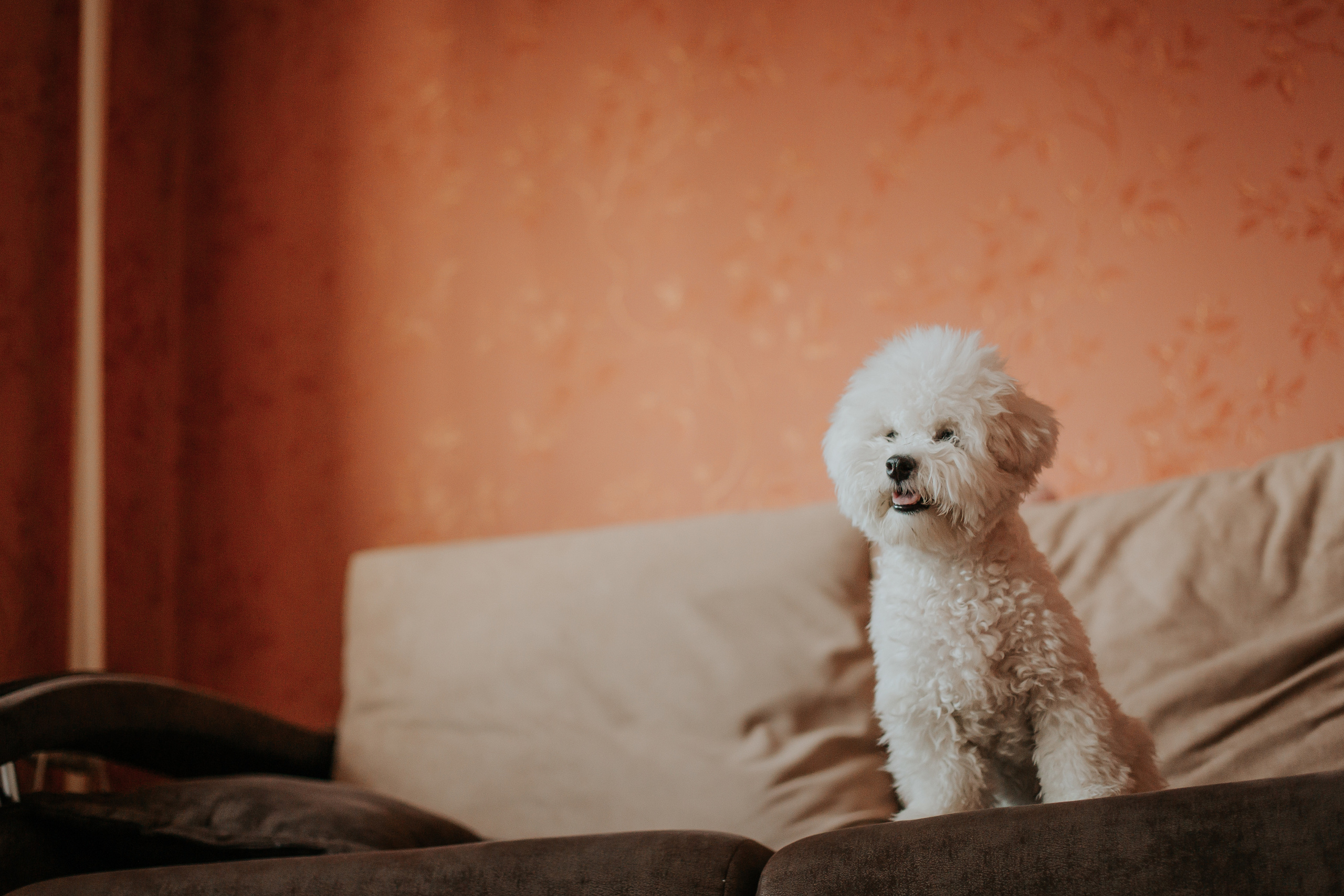 Life style. Фотограф в Киселёвске Татьяна Трухалева