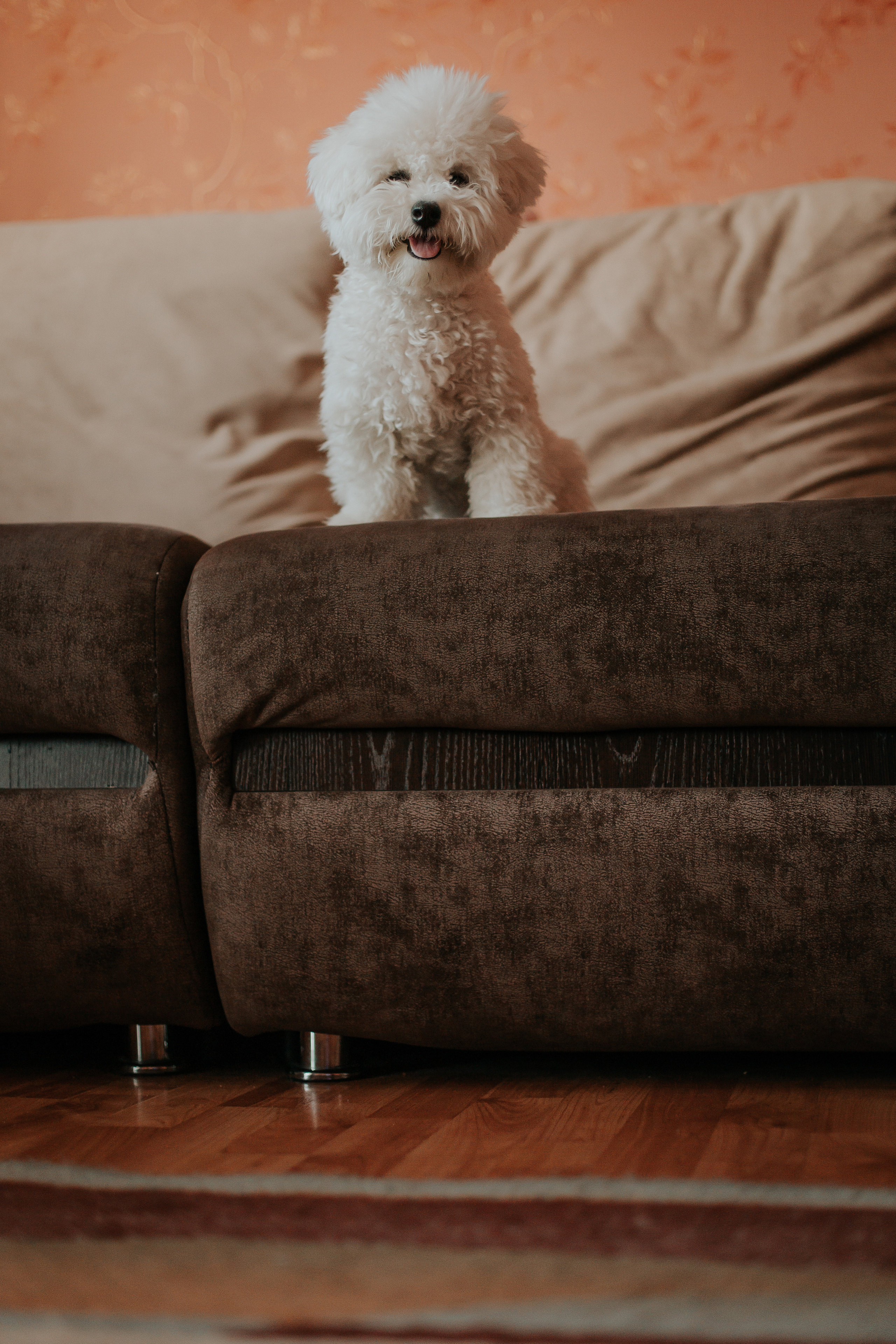 Life style. Фотограф в Киселёвске Татьяна Трухалева