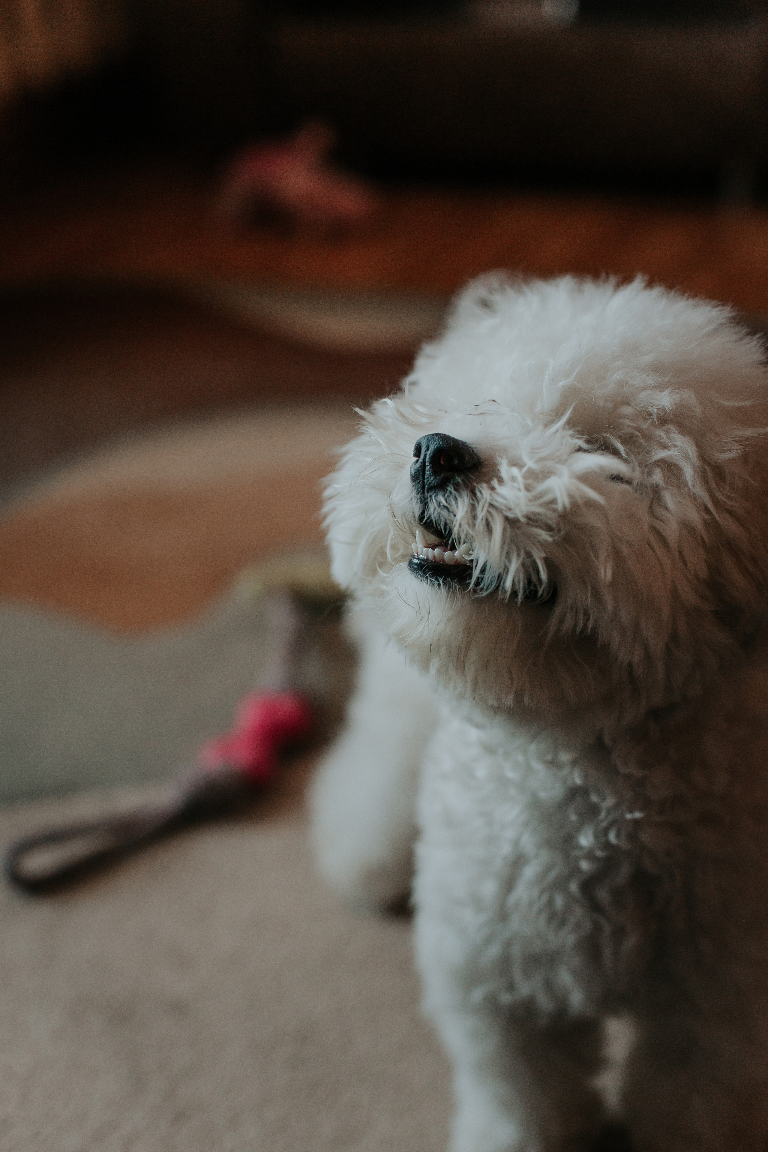 Life style. Фотограф в Киселёвске Татьяна Трухалева