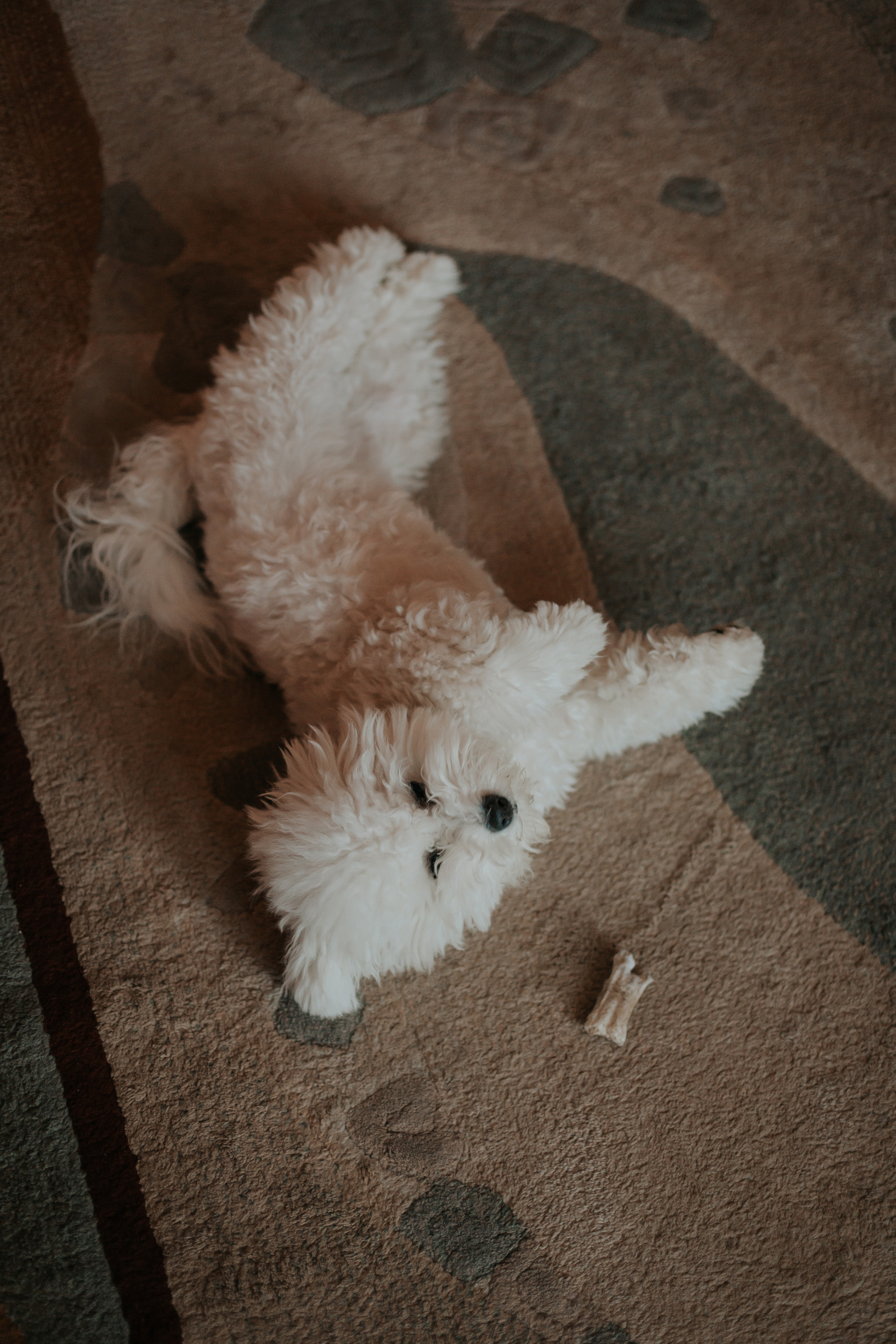 Life style. Фотограф в Киселёвске Татьяна Трухалева