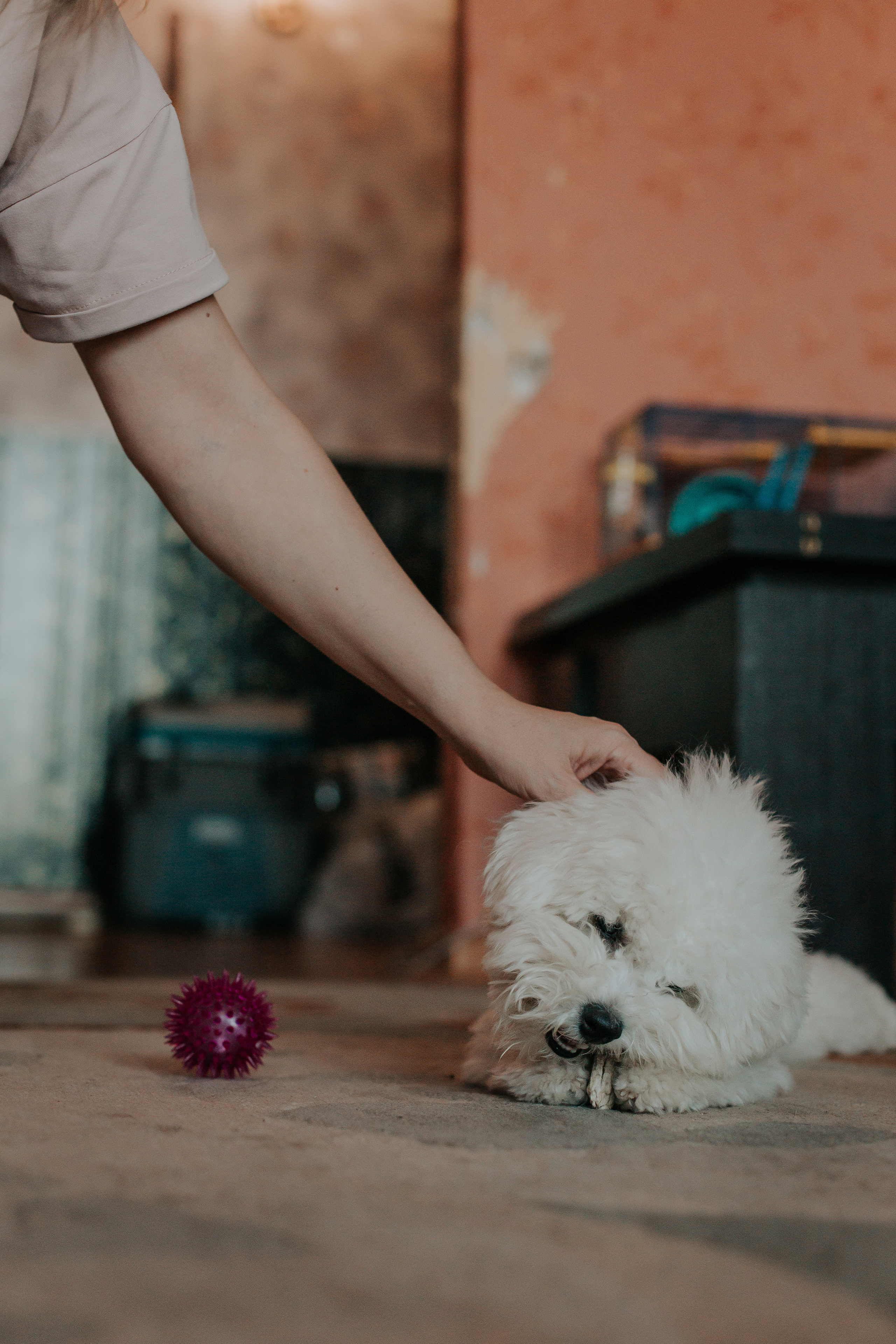 Life style. Фотограф в Киселёвске Татьяна Трухалева