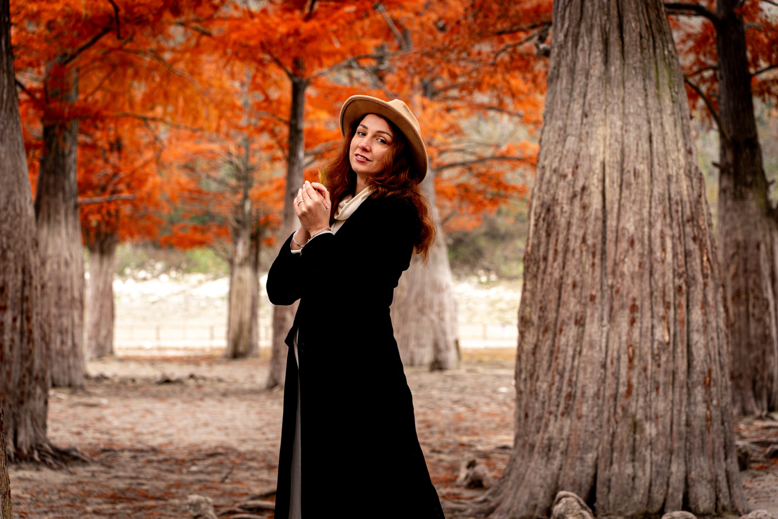 Осенняя фотосессия в Анапе — яркие кипарисы. Семейный и детский фотограф Екатерина Черняева. Снимаю портреты, love story, фотопрогулки, работаю на улице, в кафе, студии, дома у клиента