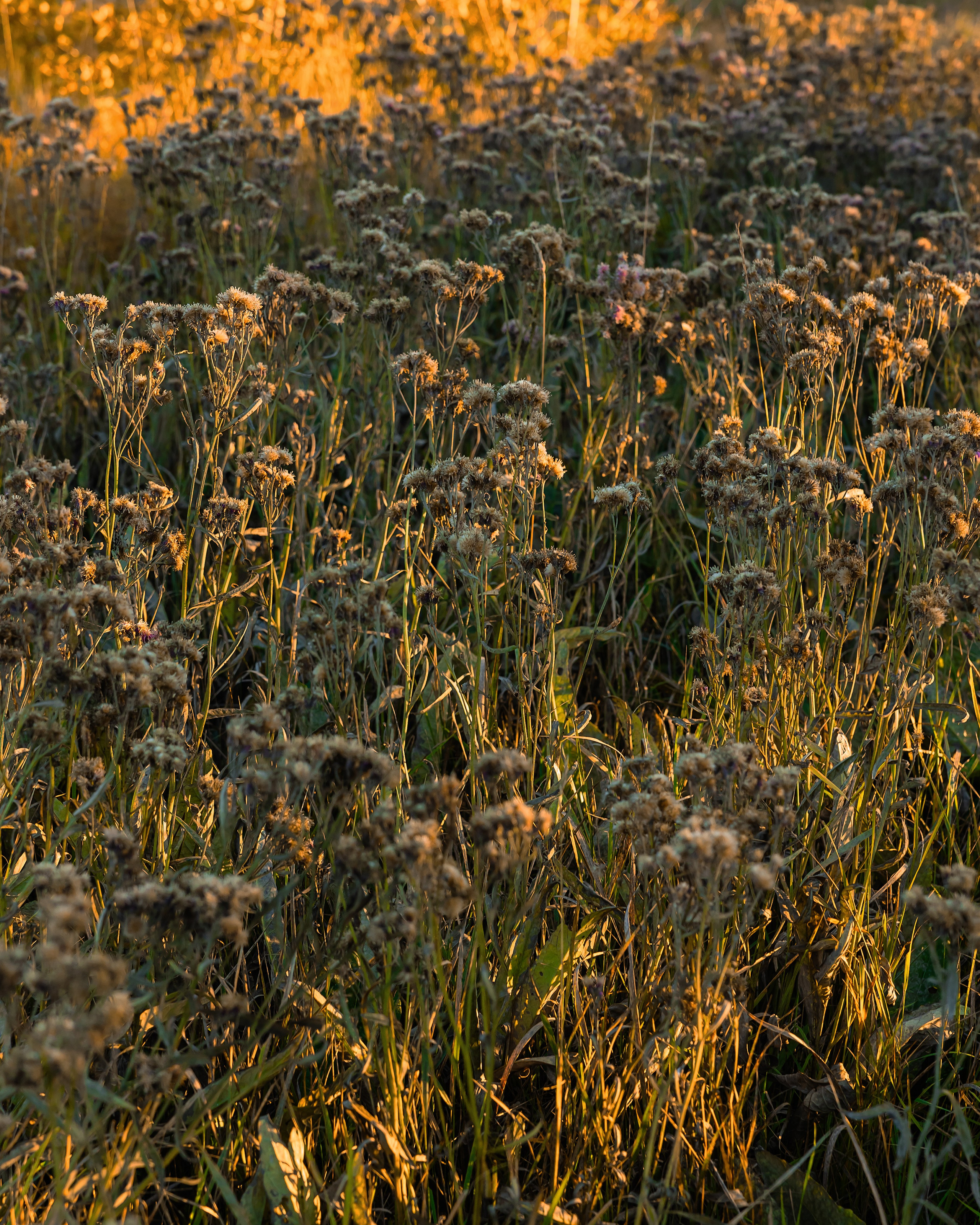 @Ormatek_ulanude. Фотограф и видеограф в Улан-Удэ: Аюна Габагуева и Артём Шаханов