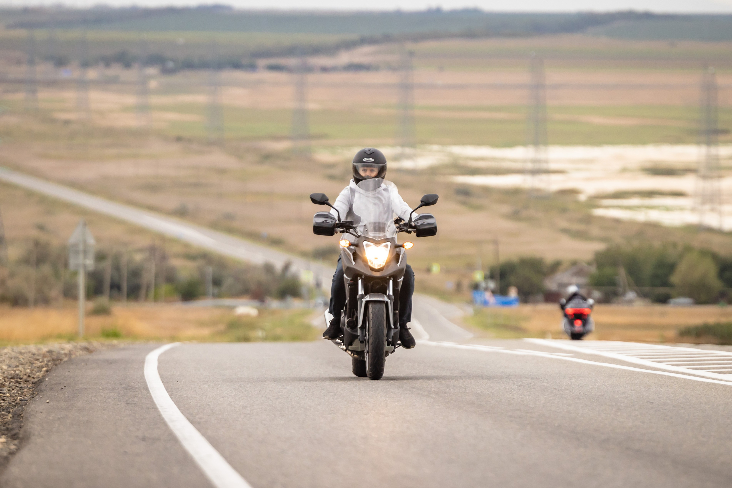 Южное Сафари в Тамани. Сентябрь 2024. Фотограф Владимир Охрименко