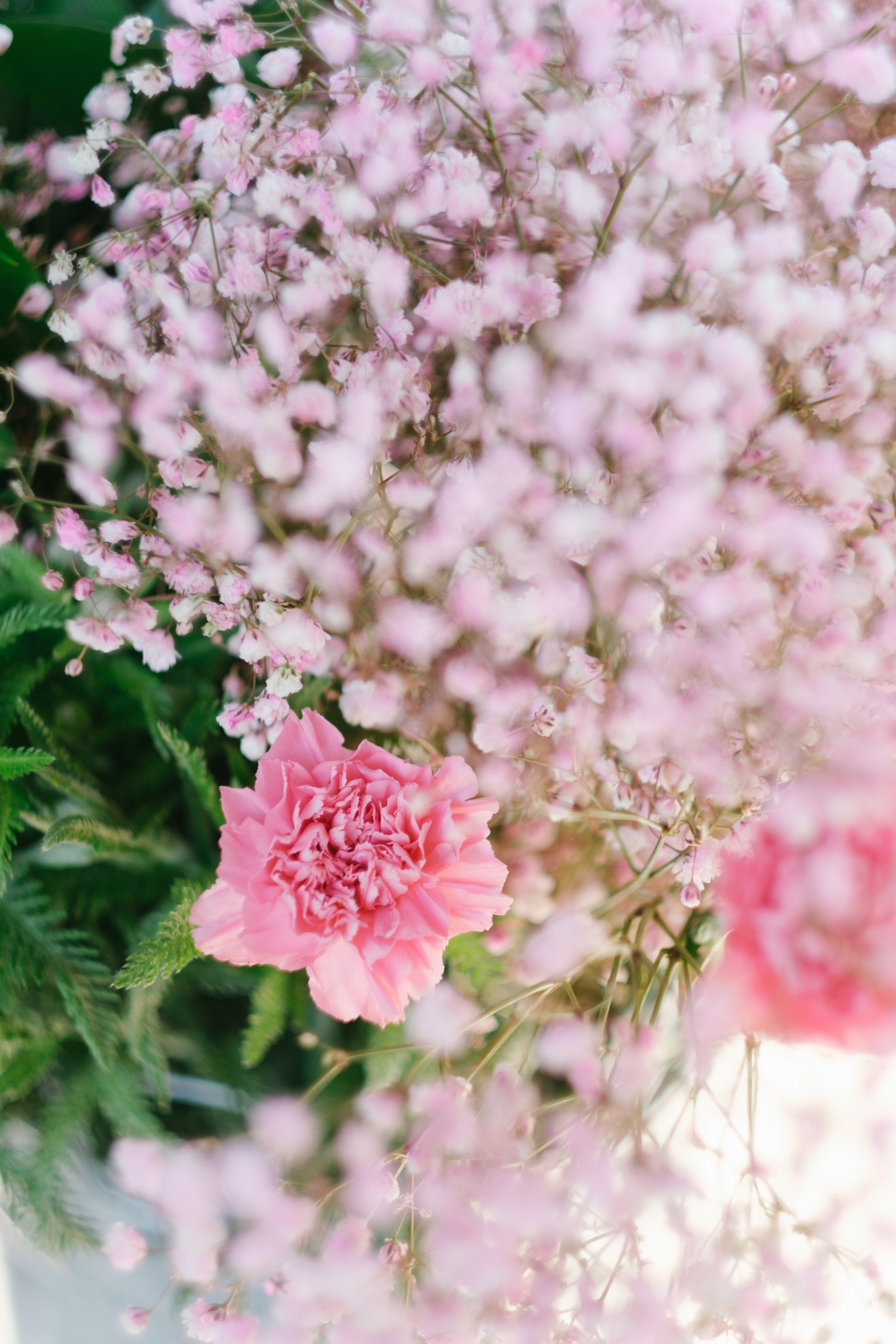 Морской. Свадебный Видеограф Фотограф в Сочи