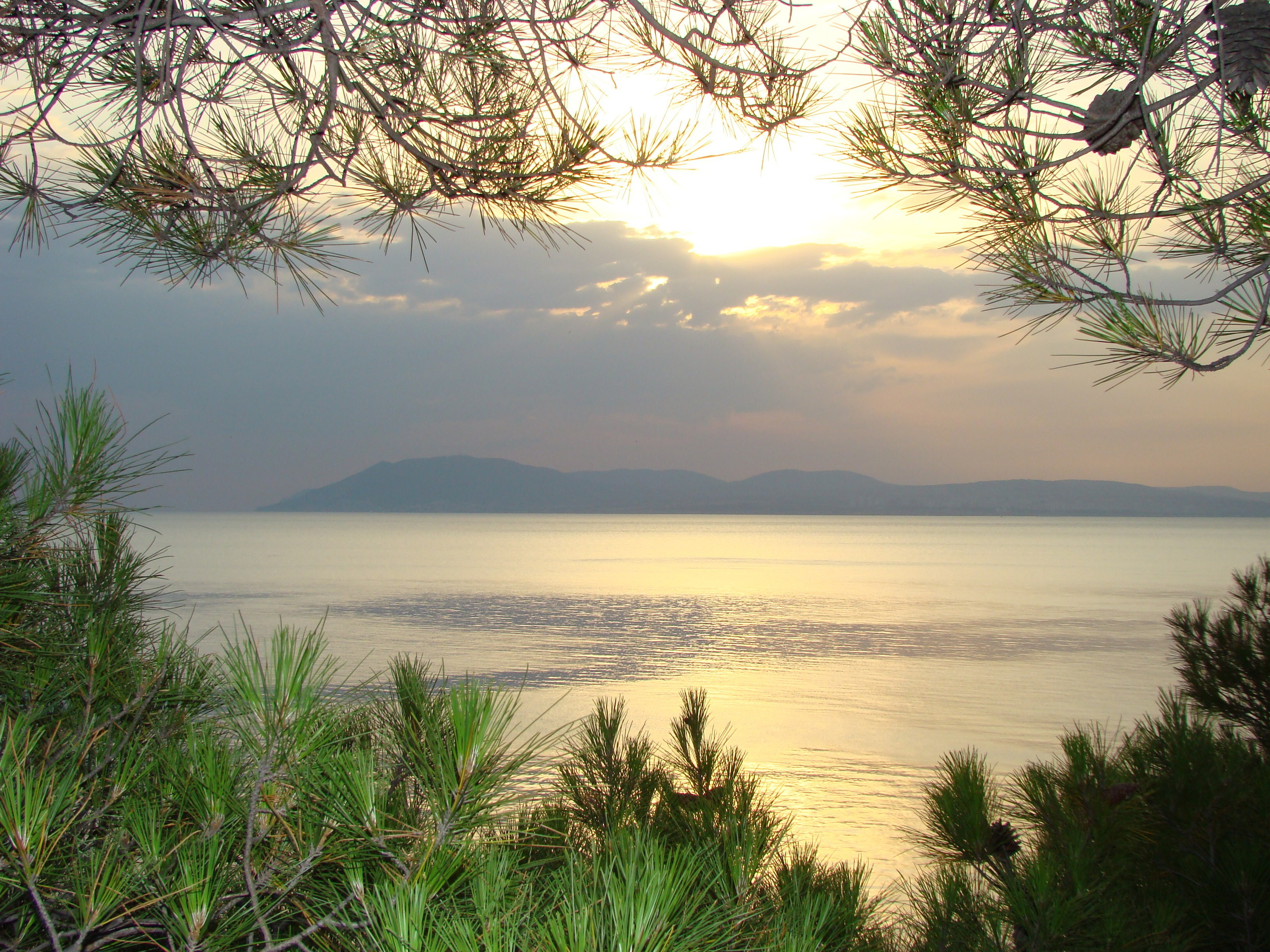 Кабардинка (фото Зевиных) 25.06-24.07.2008. Семейный, Свадебный фотограф СПБ Питер— Романова Екатерина