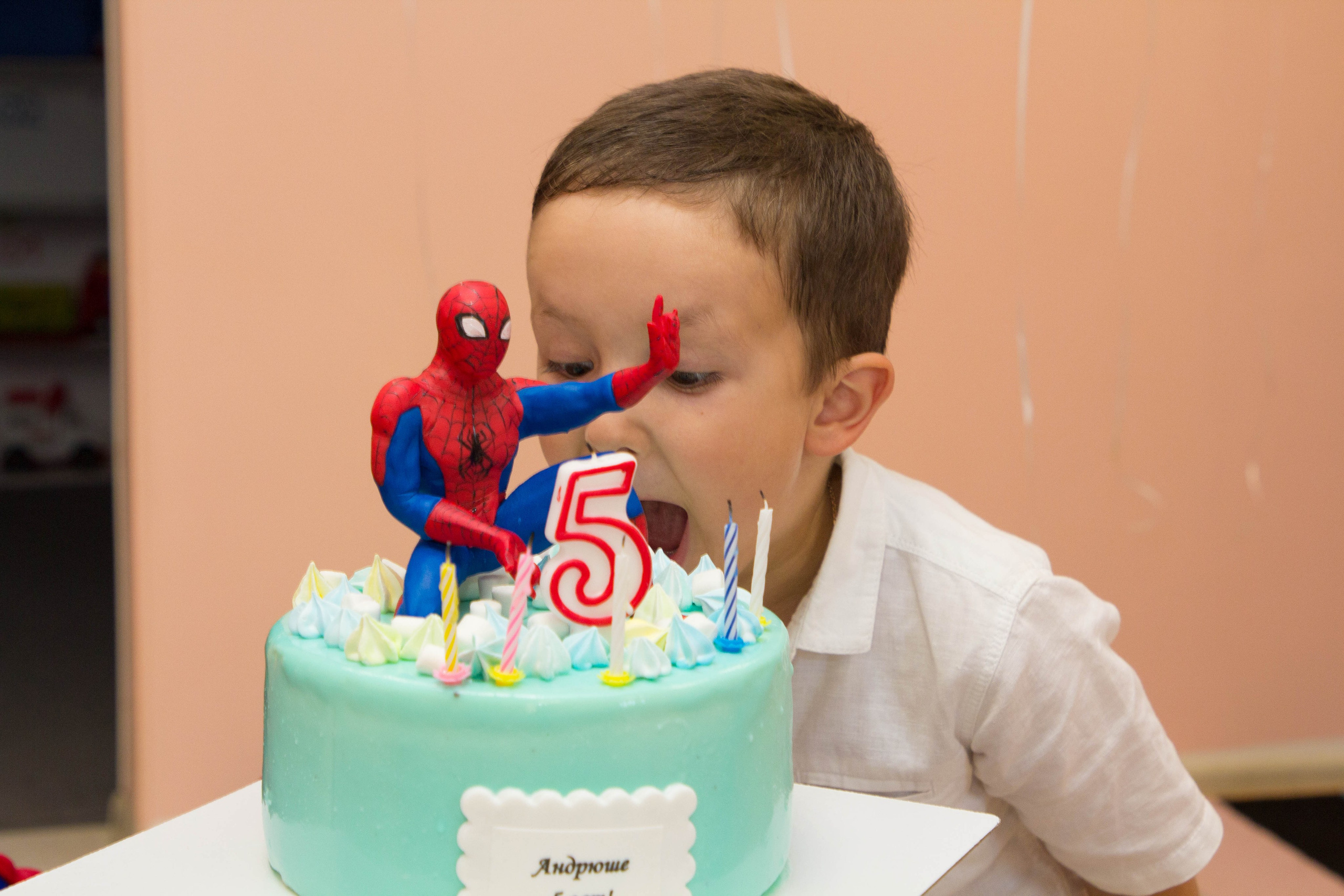 Андрюша 5 лет. Семейный, детский, свадебный фотограф в Москве, Люберцах