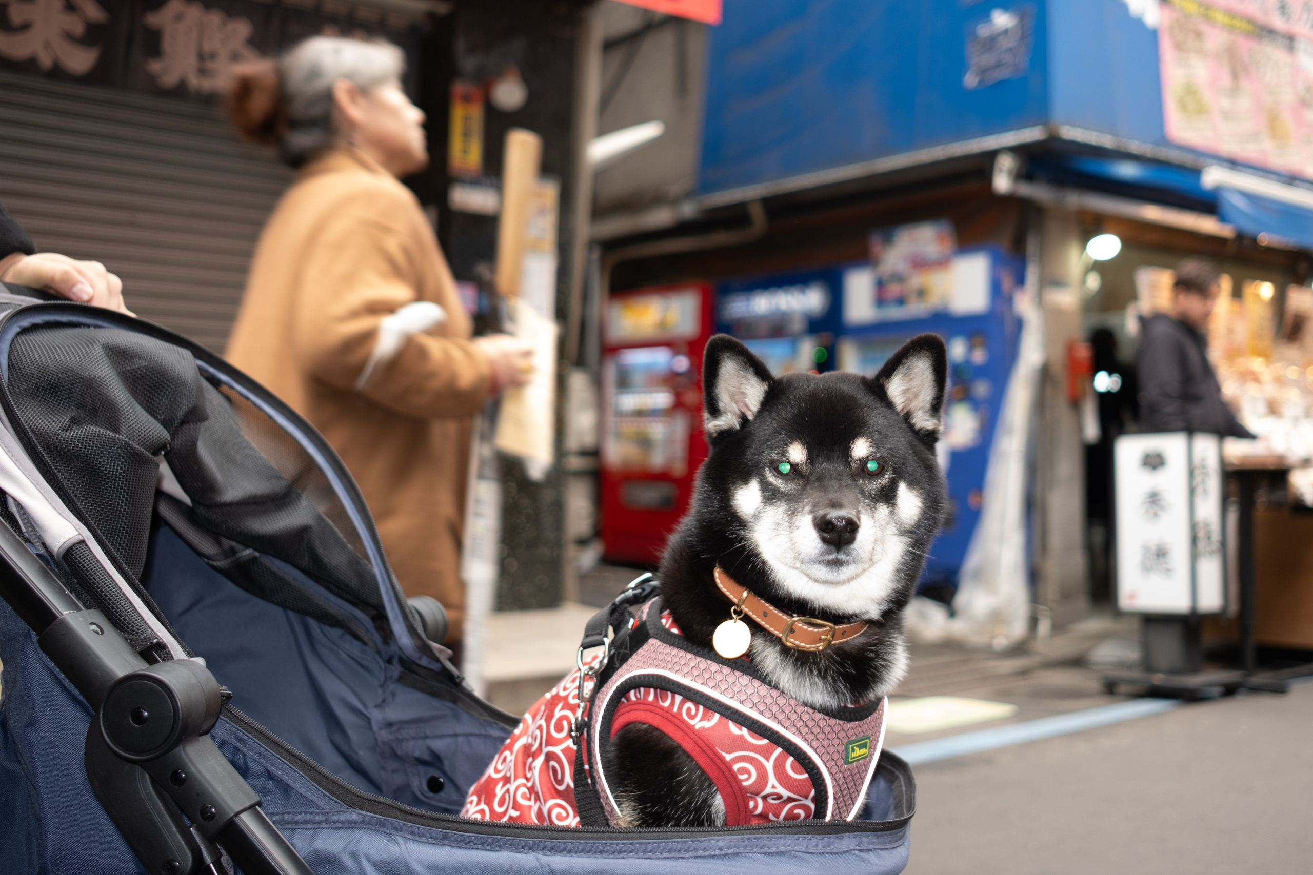 Japan. Sasha Chernov | Documentary Photographer, Berlin