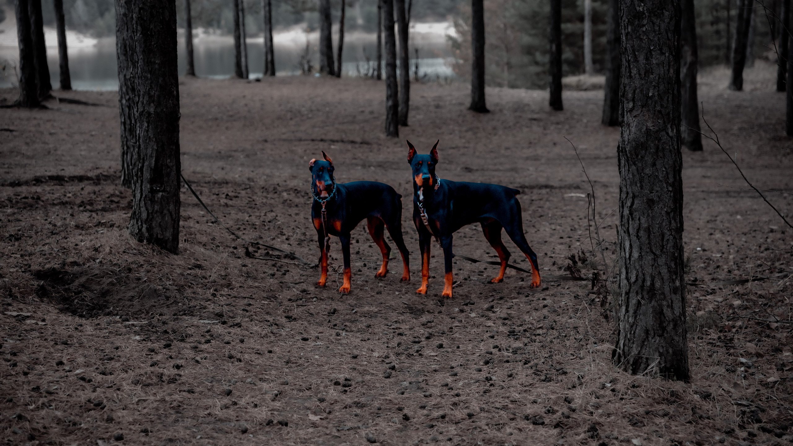 Олейник Денис — предметный фотограф, фотограф для маркетплейсов в Казани