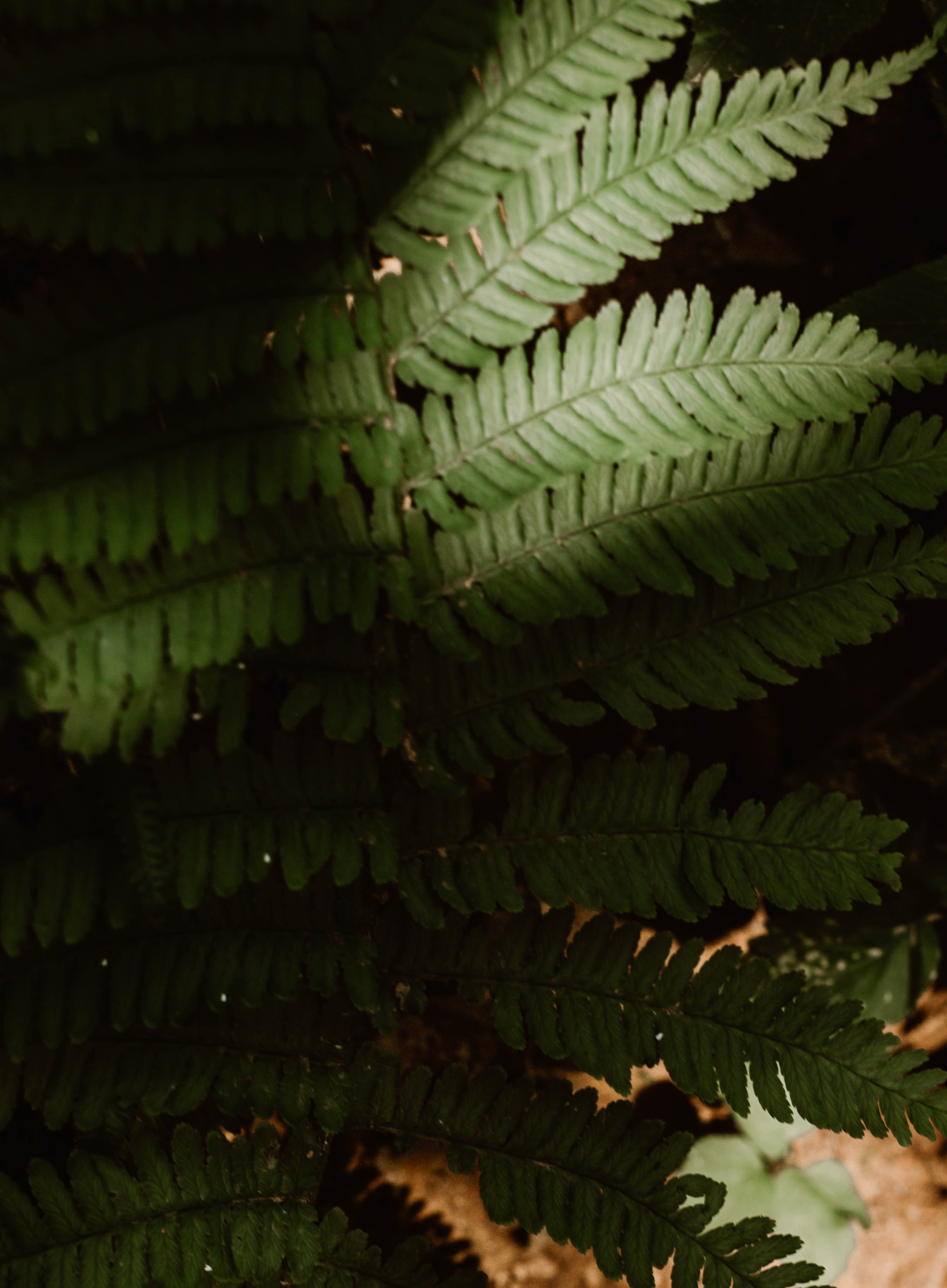 Эльвира. Фотограф в Нижнем Новгороде
