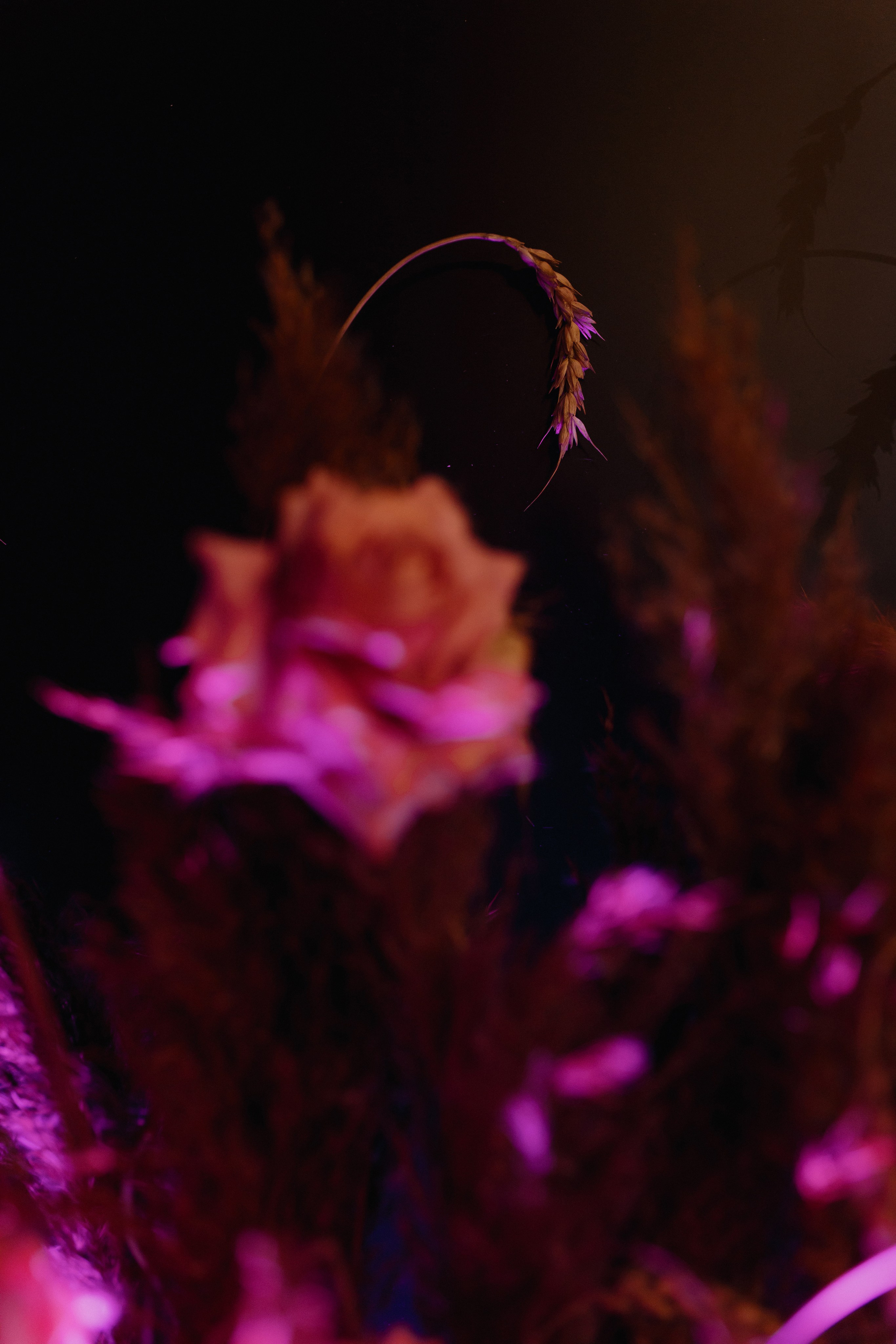 Андрей и Вика. Свадебный фотограф Лопатин Василий