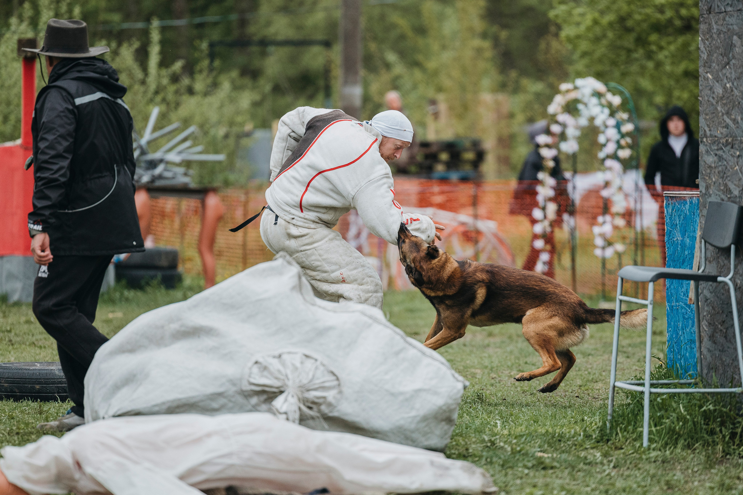 26.05.25 г. Пушкин квалификационные соревнования. Фотограф-анималист Анна Маринич