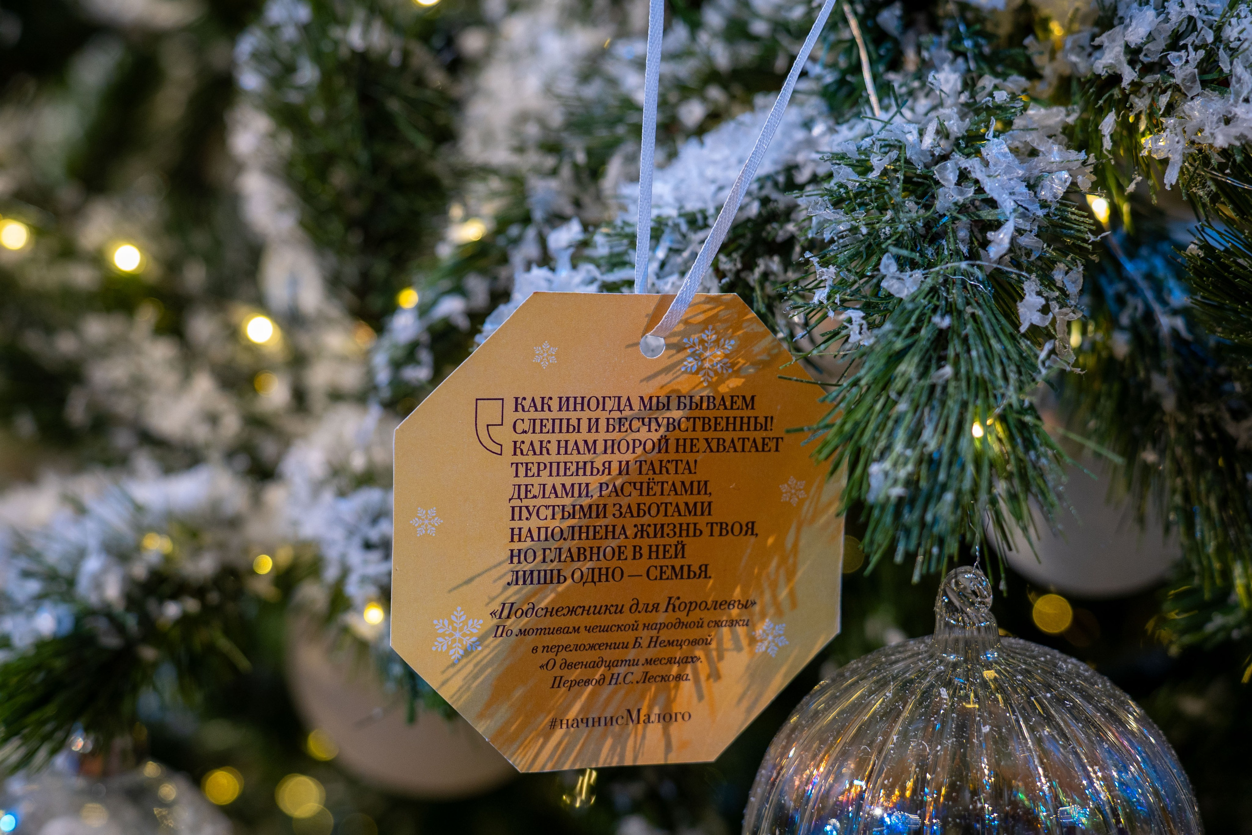 Малый театр. Елизавета Ковалевская — ваш профессиональный фотограф