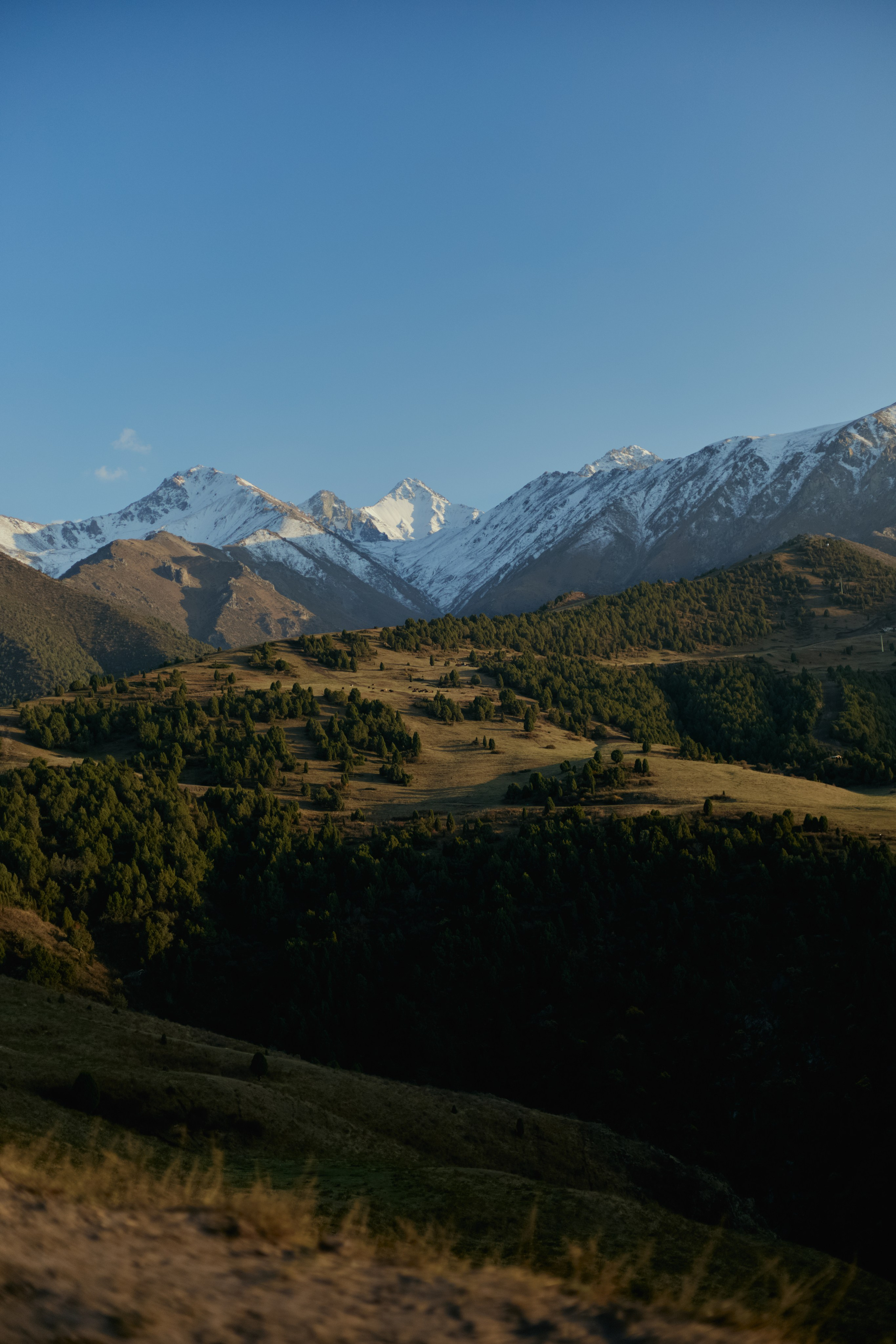 Кыргызтан. Профессиональный Фотограф во Владимире, в Москве и в Суздале — Полина Романычева