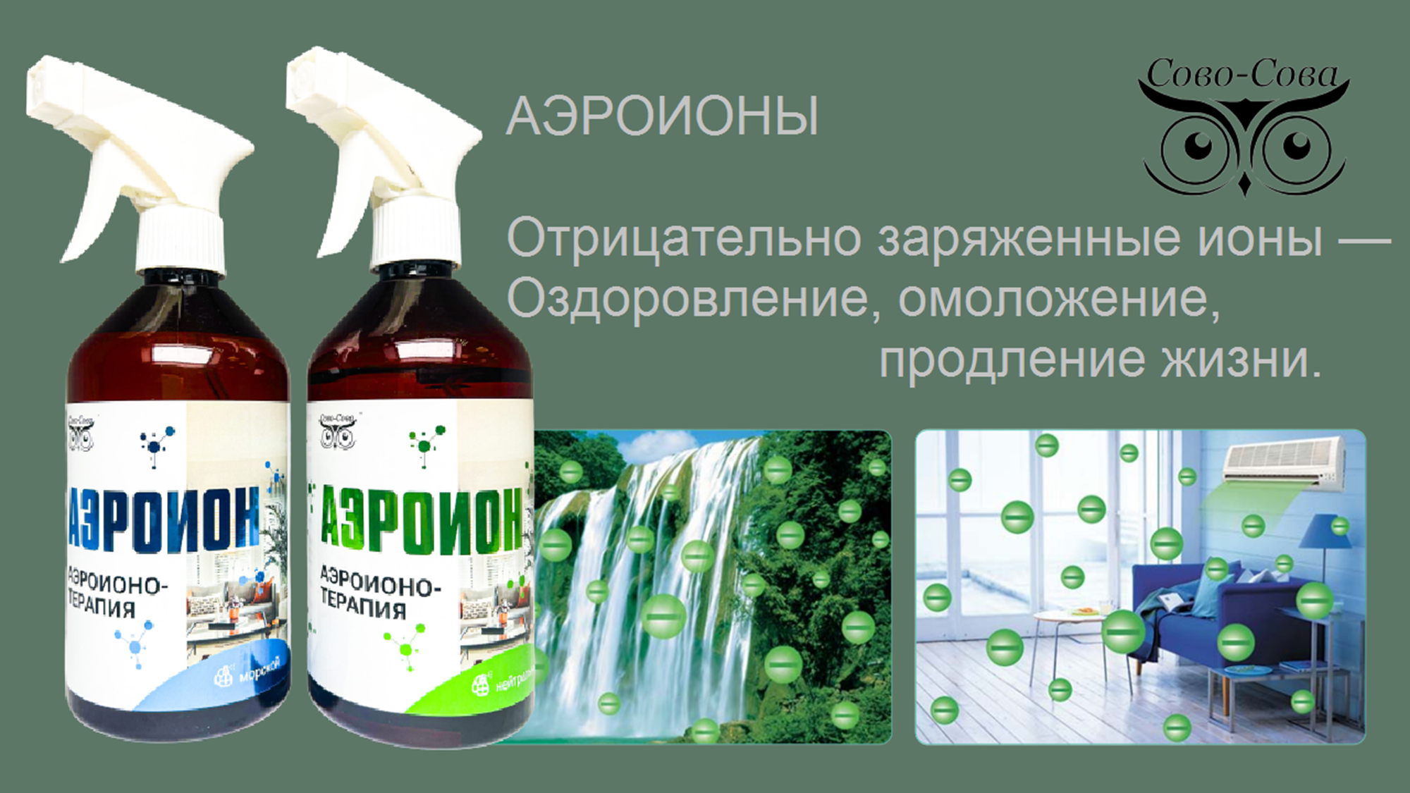 КПД компании Сово-Сова. Сово-Сово — Омоложение и оздоровление!