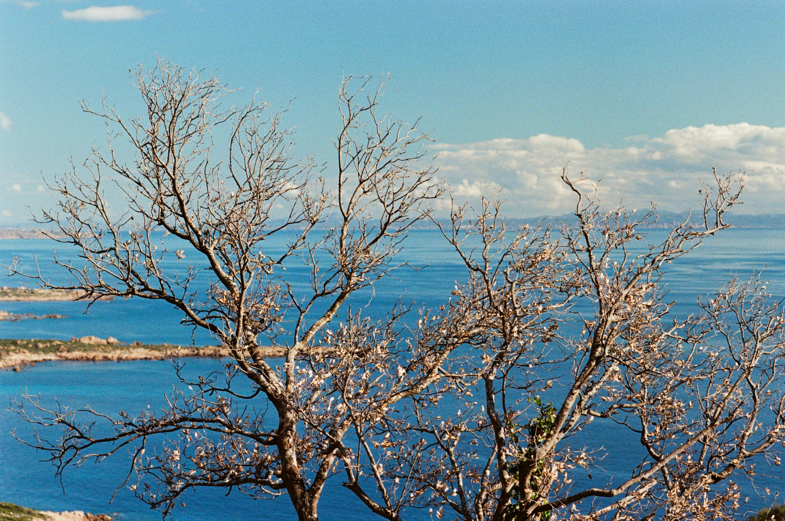 Silence is also an answer // corsica II. EVER EXPOSED