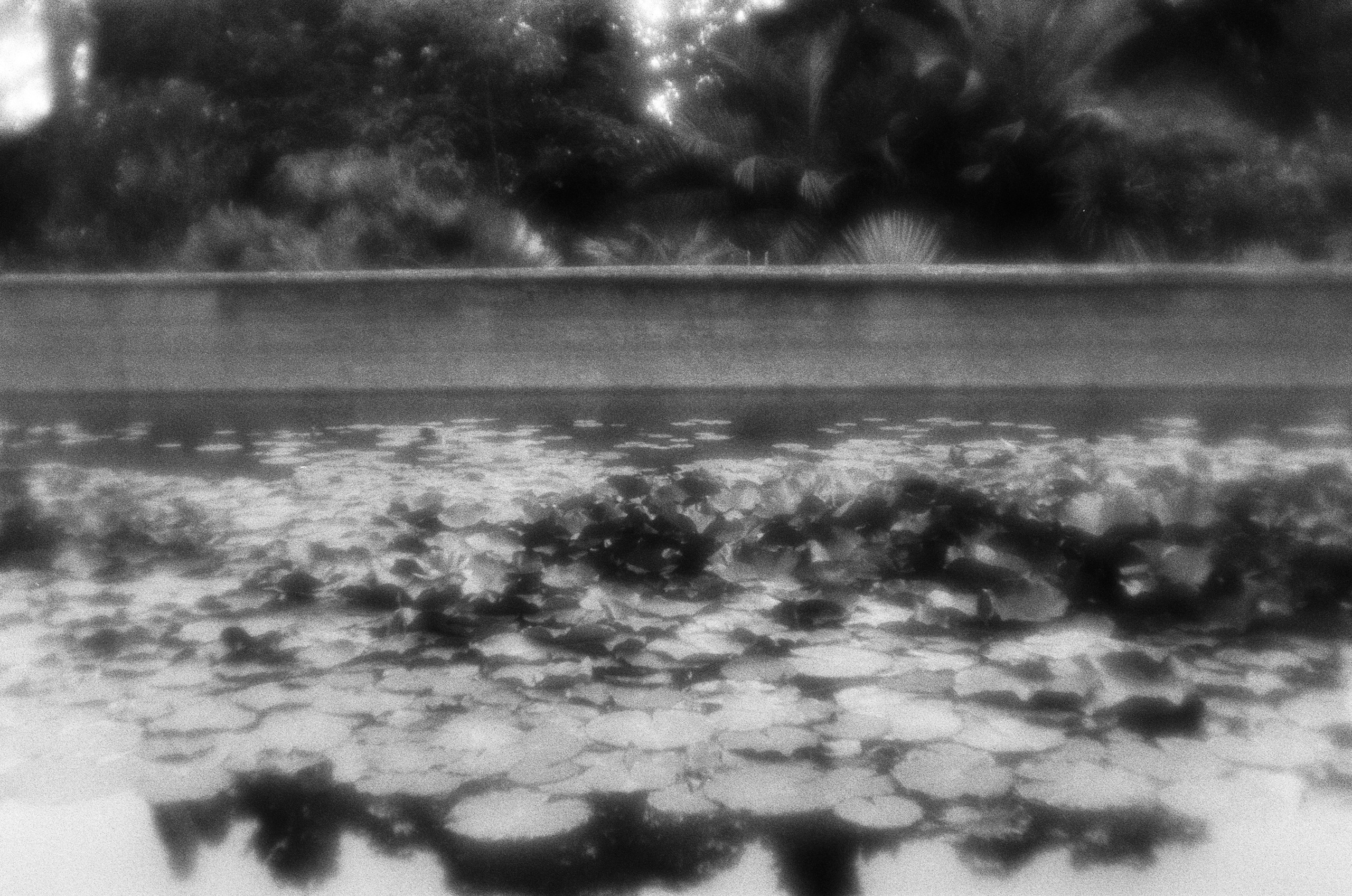 Oblomki chuvstv // ukraine, crimea VI. EVER EXPOSED