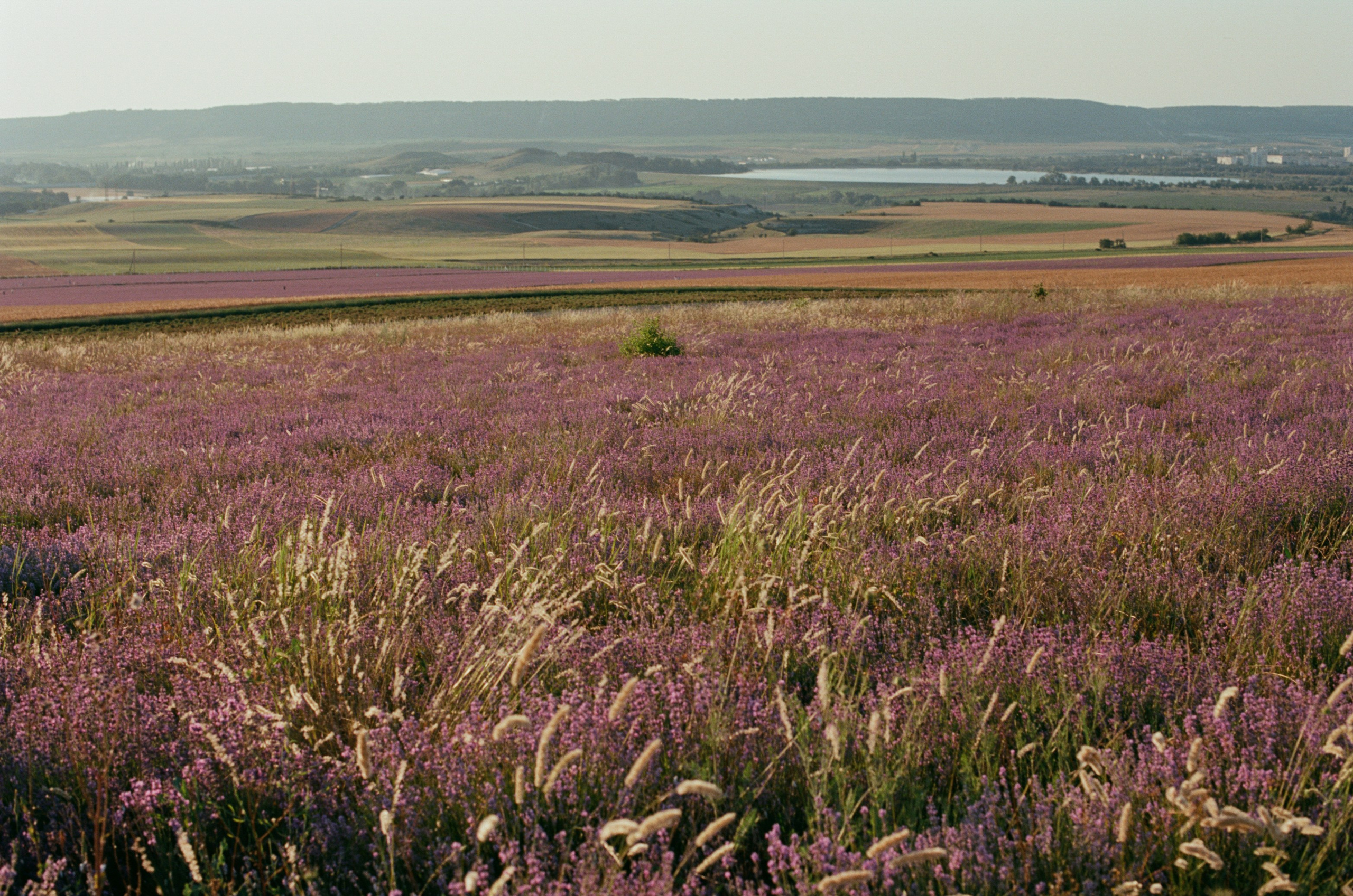 Silent running // ukraine, crimea VI. EVER EXPOSED