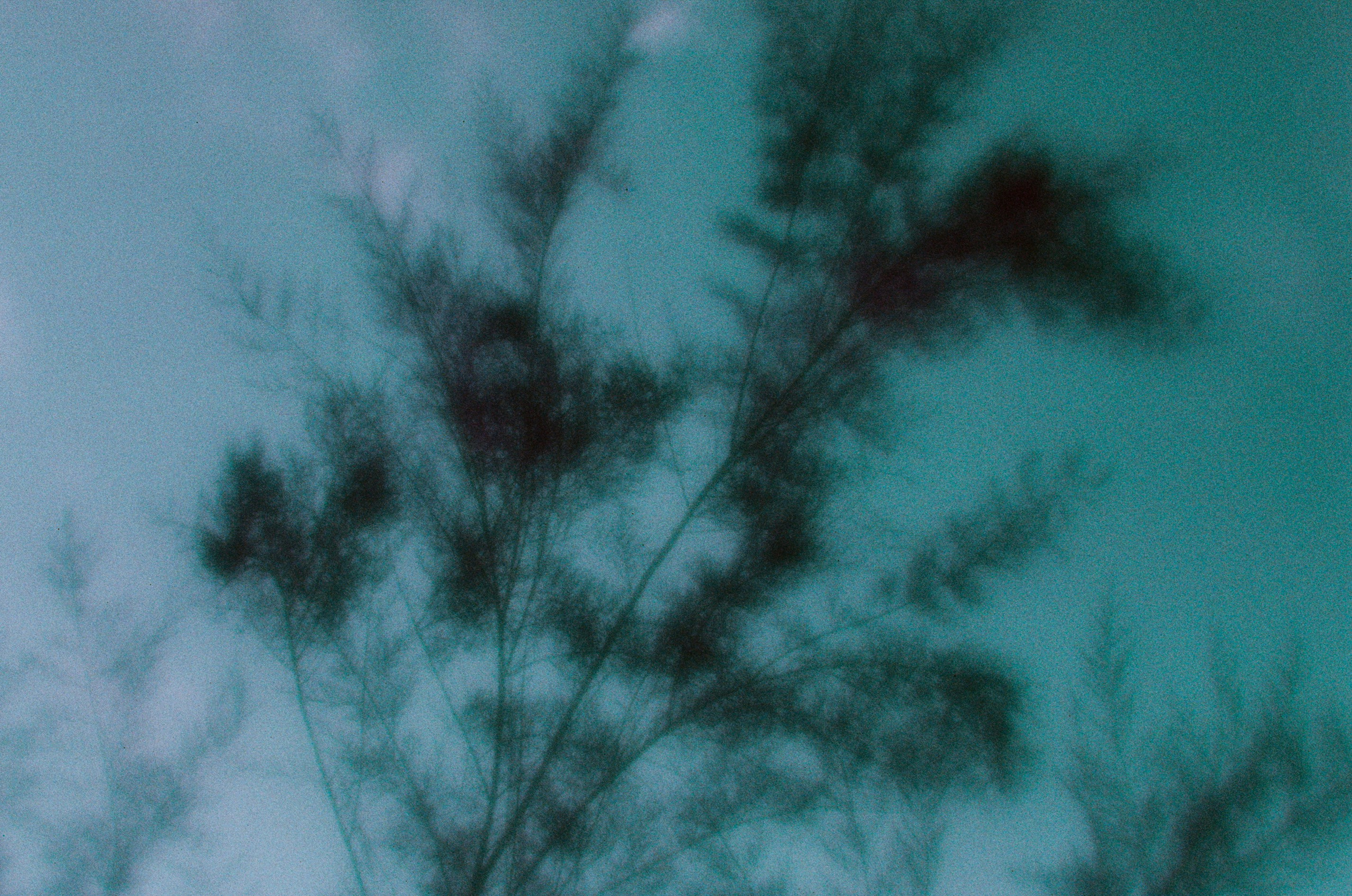 Everything i could never say to you II. EVER EXPOSED