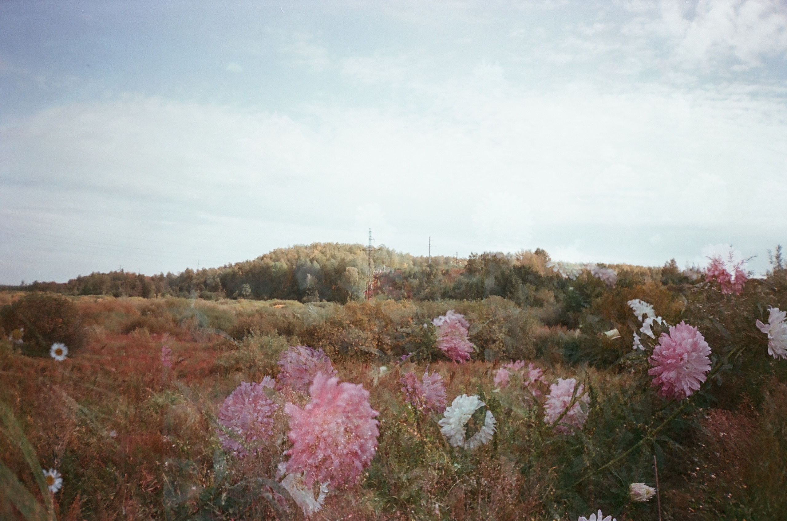 Искать. Подсвечивать. Прятать