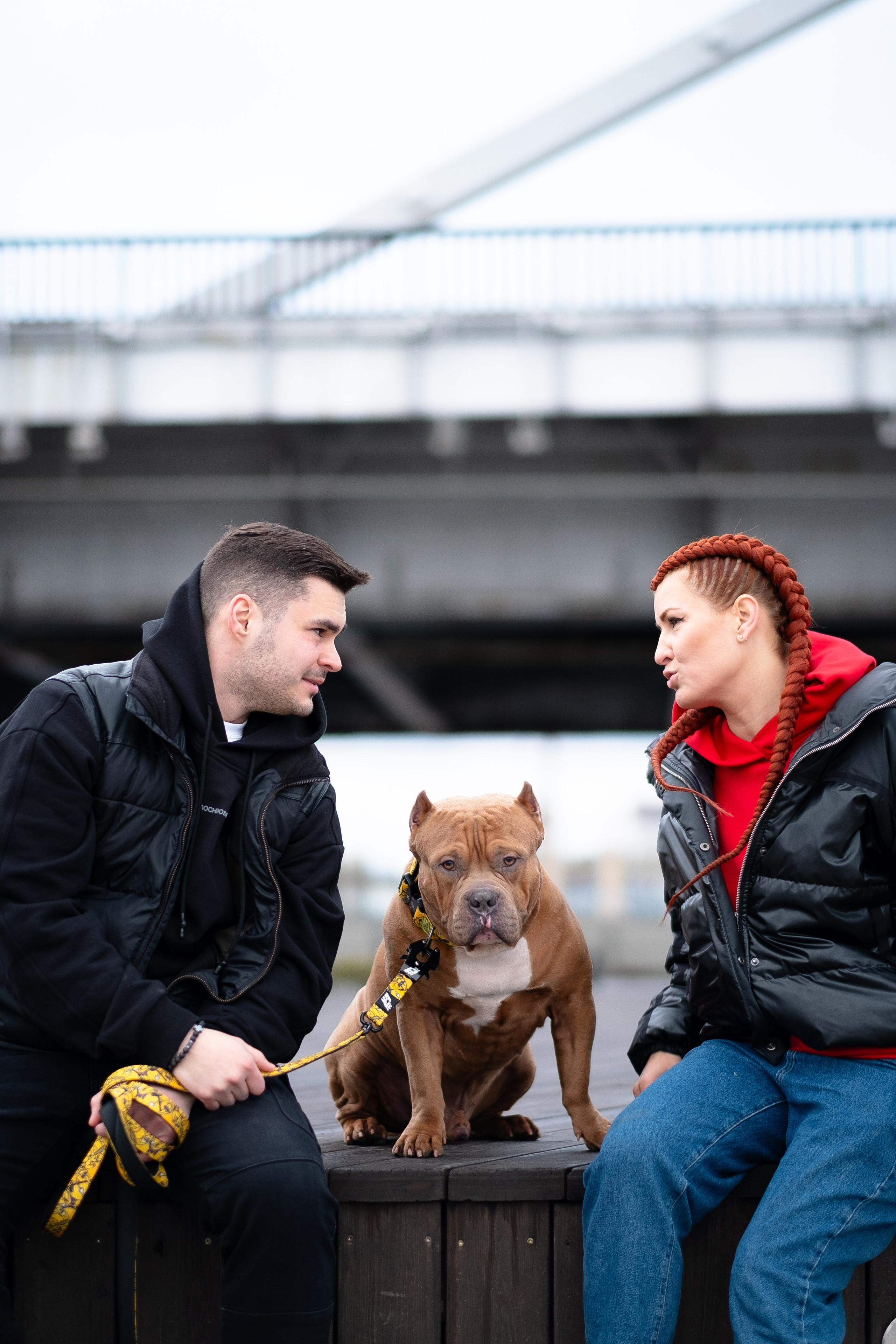 Спай и его семья. Фотограф и видеограф анималист Аганина Дарья
