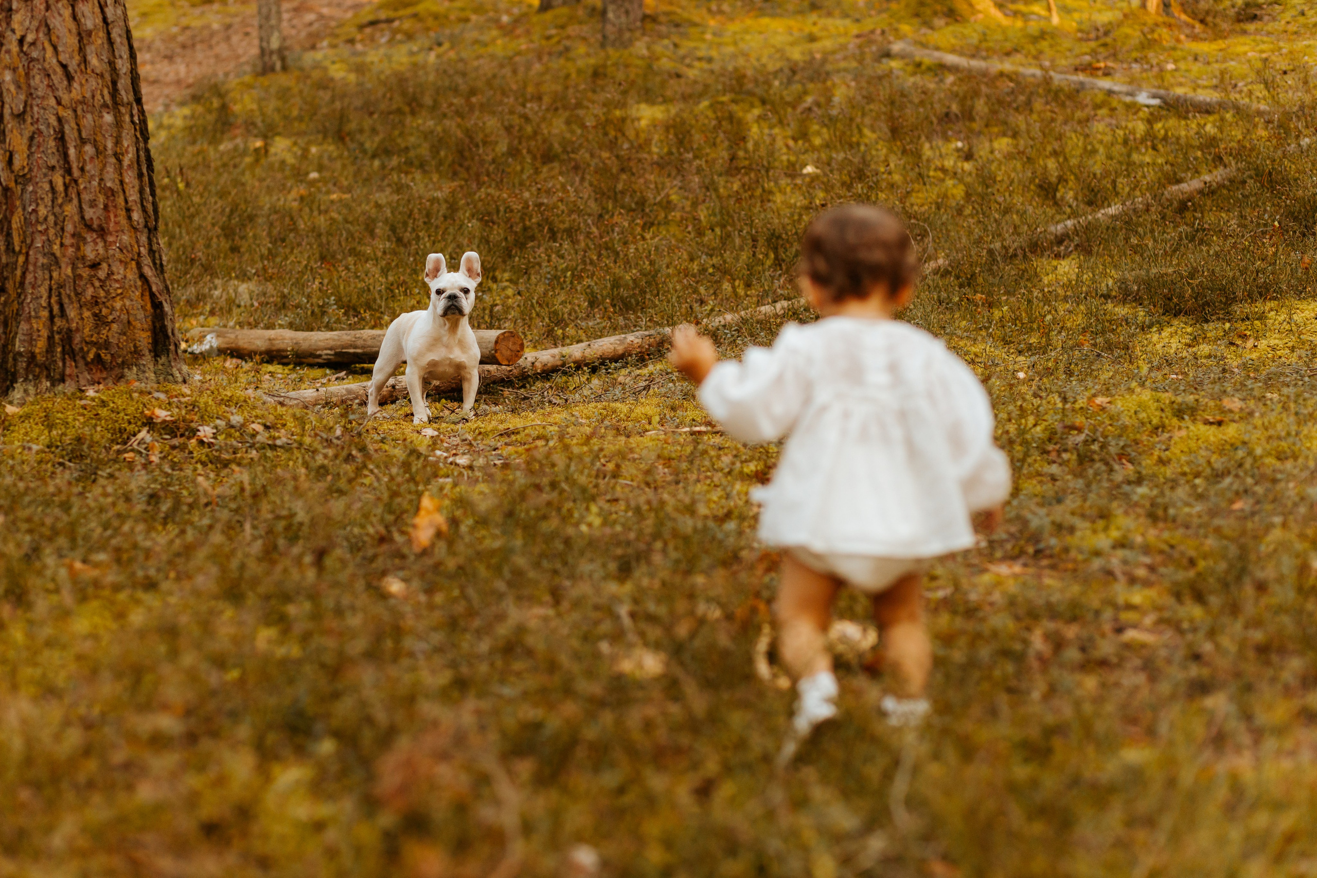 Семейная фотосессия. Фотограф Тверь. Свадебные, семейные, индивидуальные фотосессии