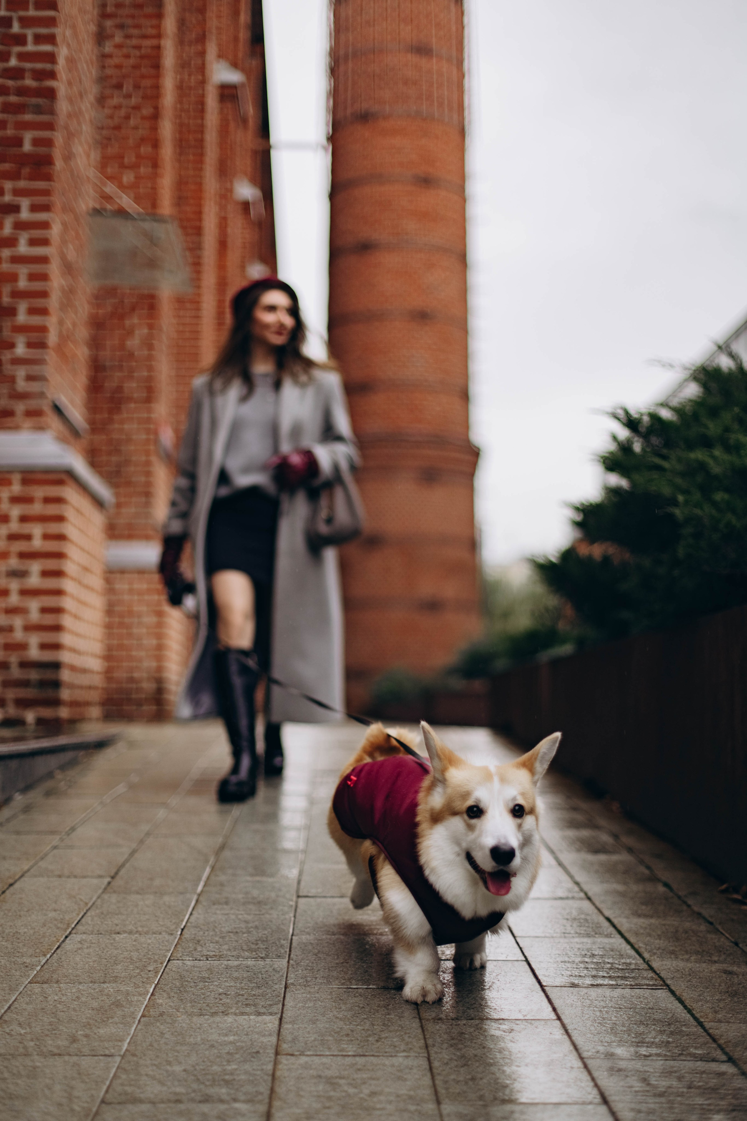 Ксюша и Коржик. Семейный фотограф Москва Ирина Малышева