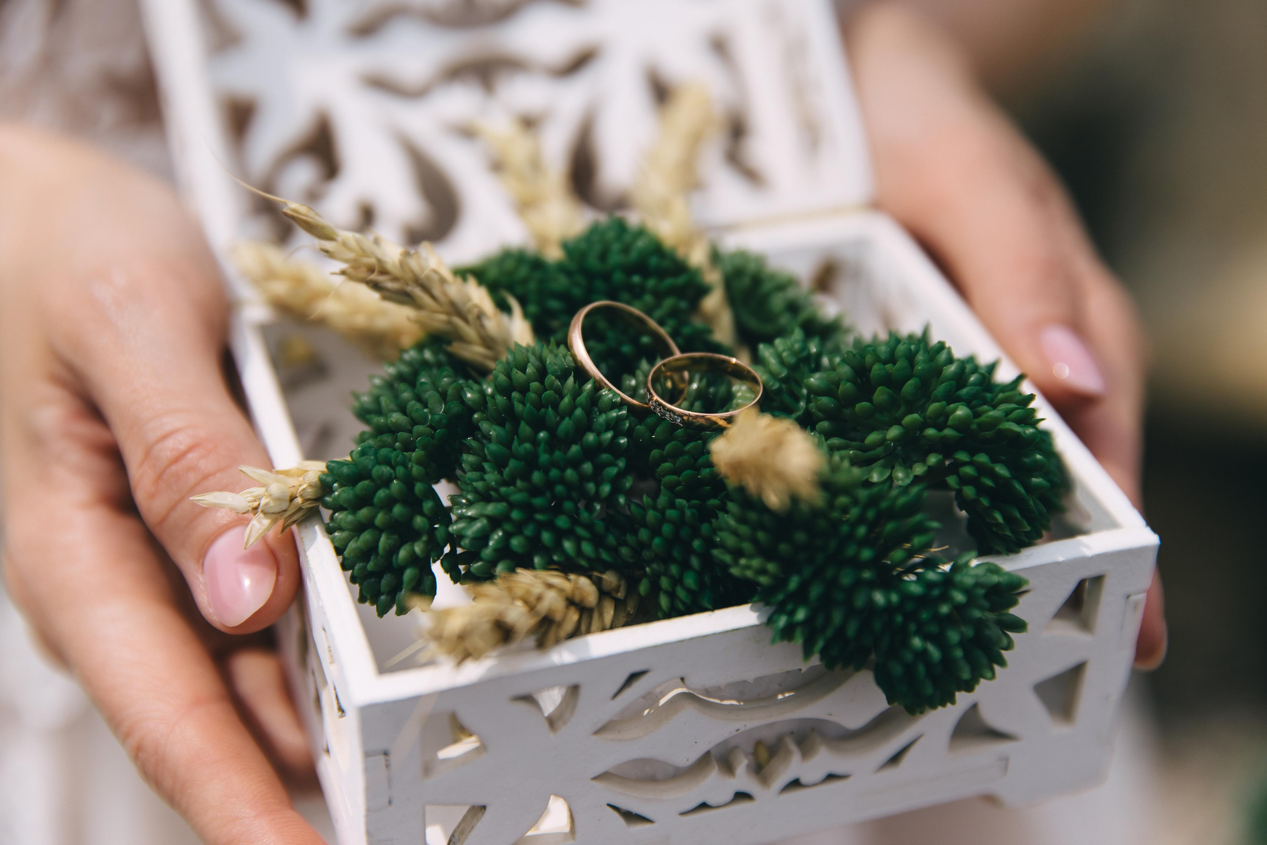 Мария и Эдуард. Свадебный фотограф и видеограф Когай Дмитрий и Юлия