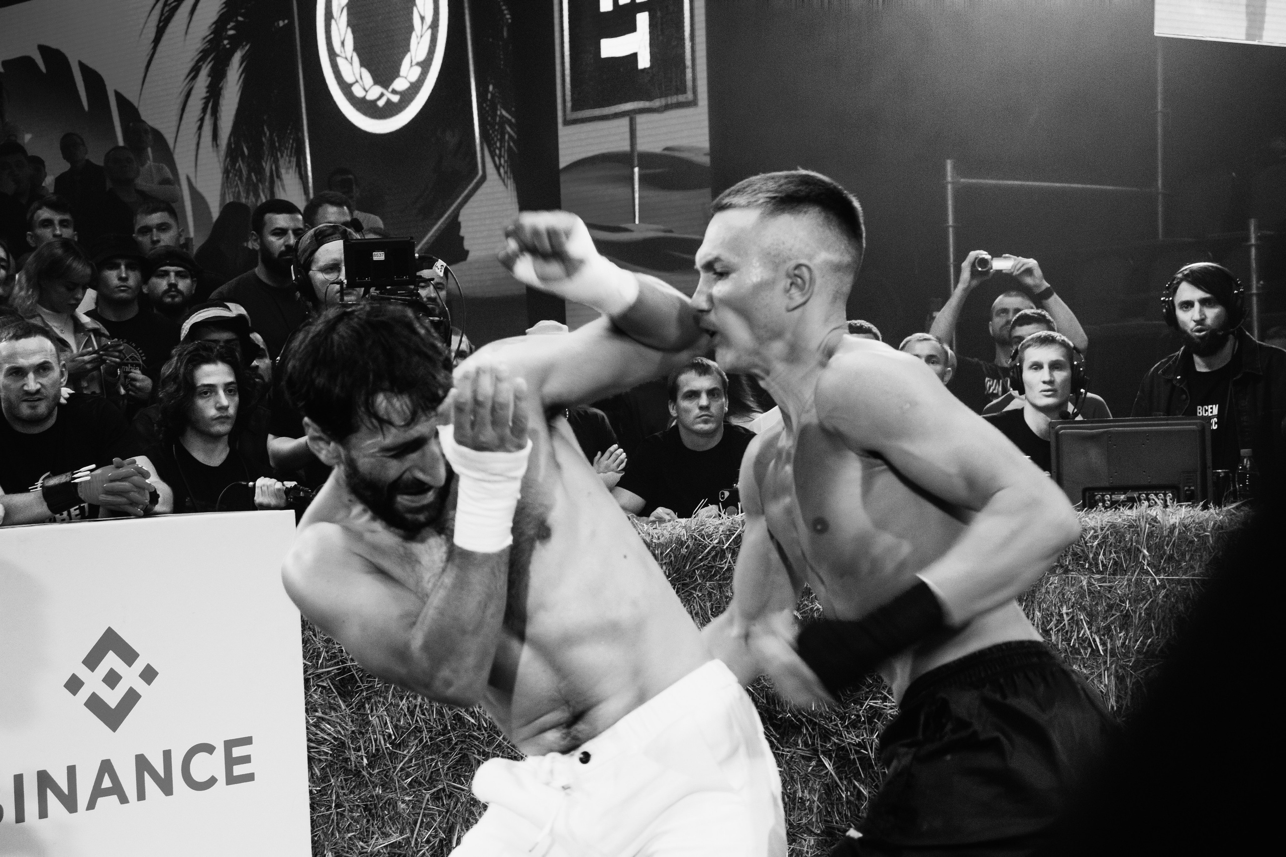 Кулачные бои TopDog. Анастасия Тен