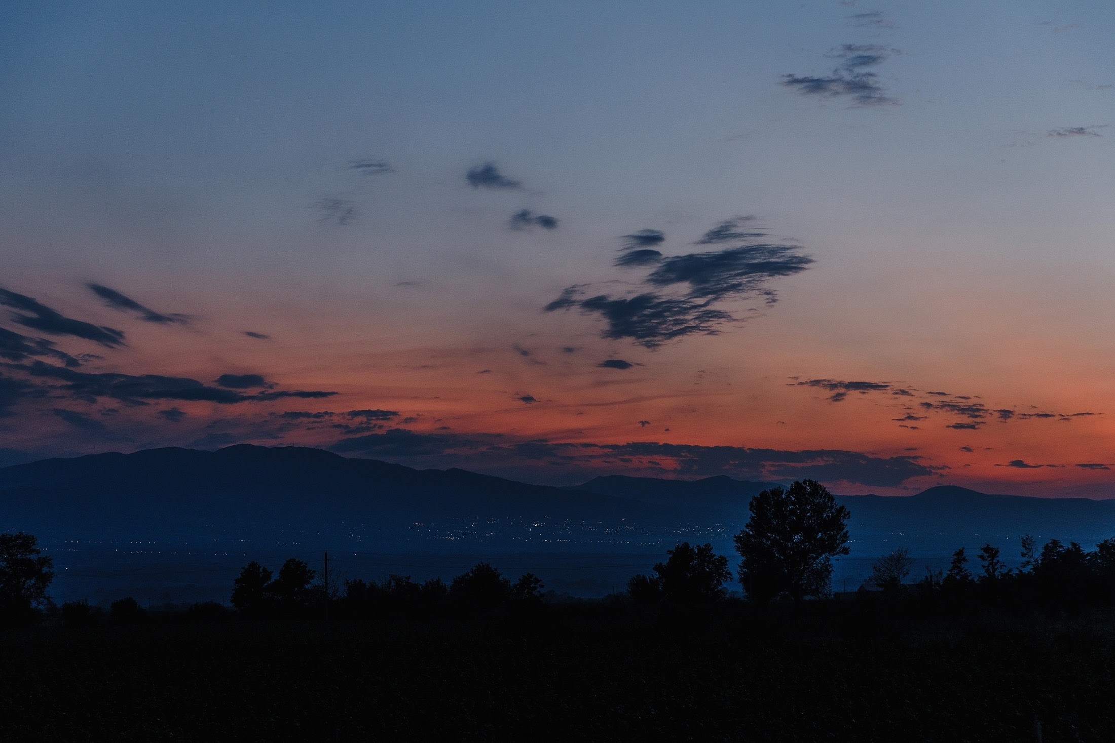Максим и Алена. Свадебный фотограф в Москве и МО Александр Ласковенков