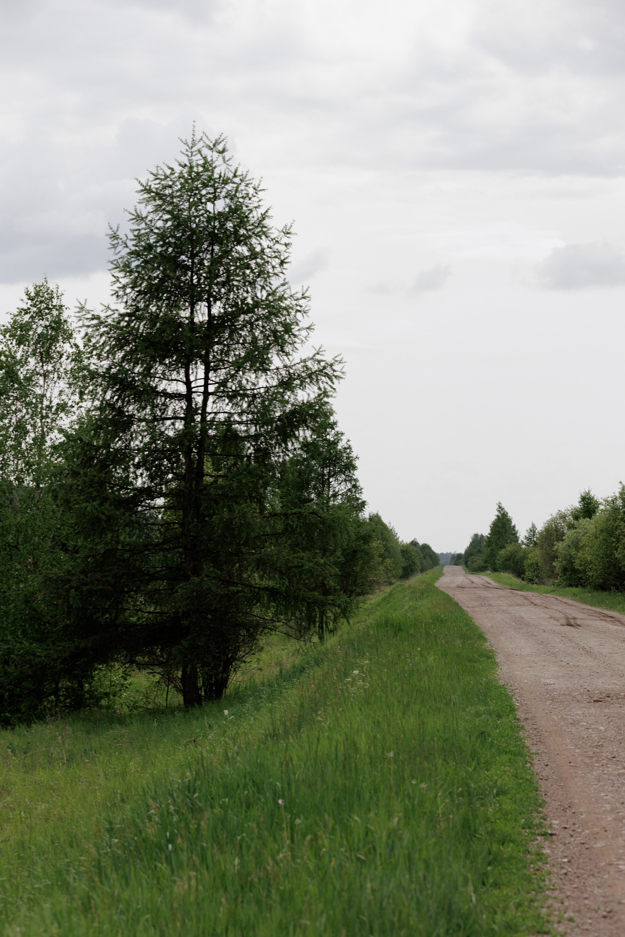 Ты, я и море. Свадебный фотограф