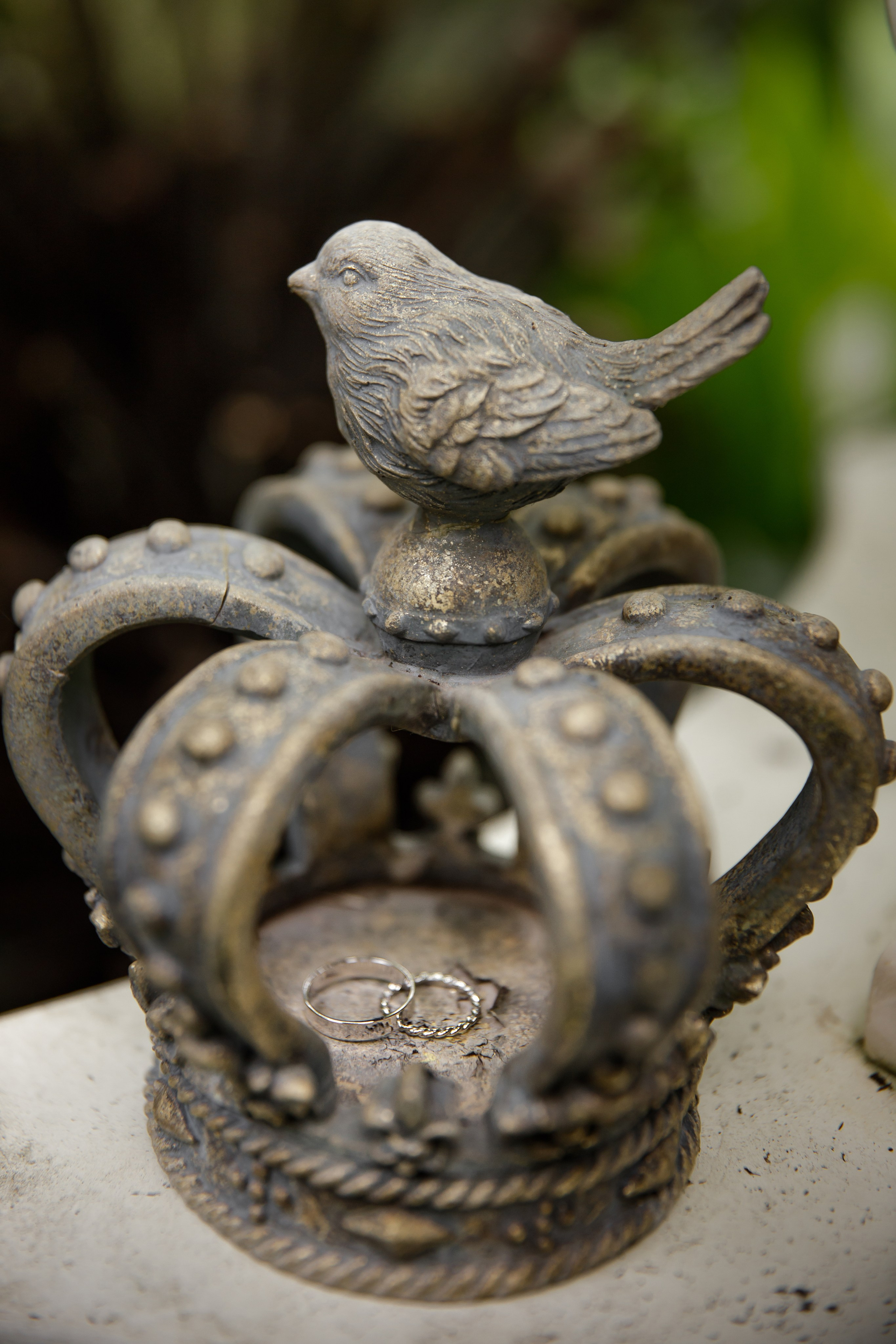 Александра и Вячеслав. Светлана Иванова - профессиональный фотограф