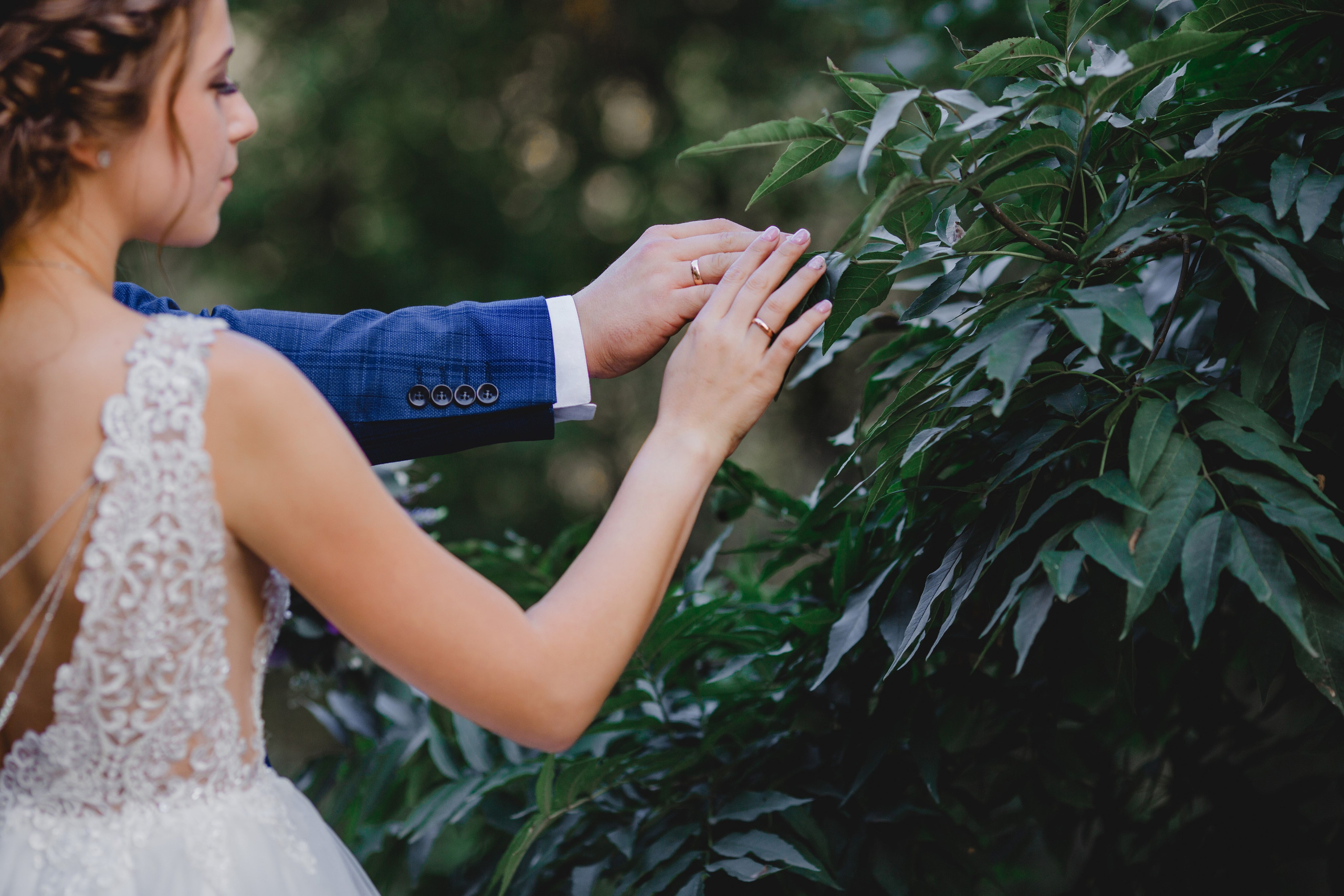 Свадьба в лесу. Свадебный и семейный фотограф в Краснодаре