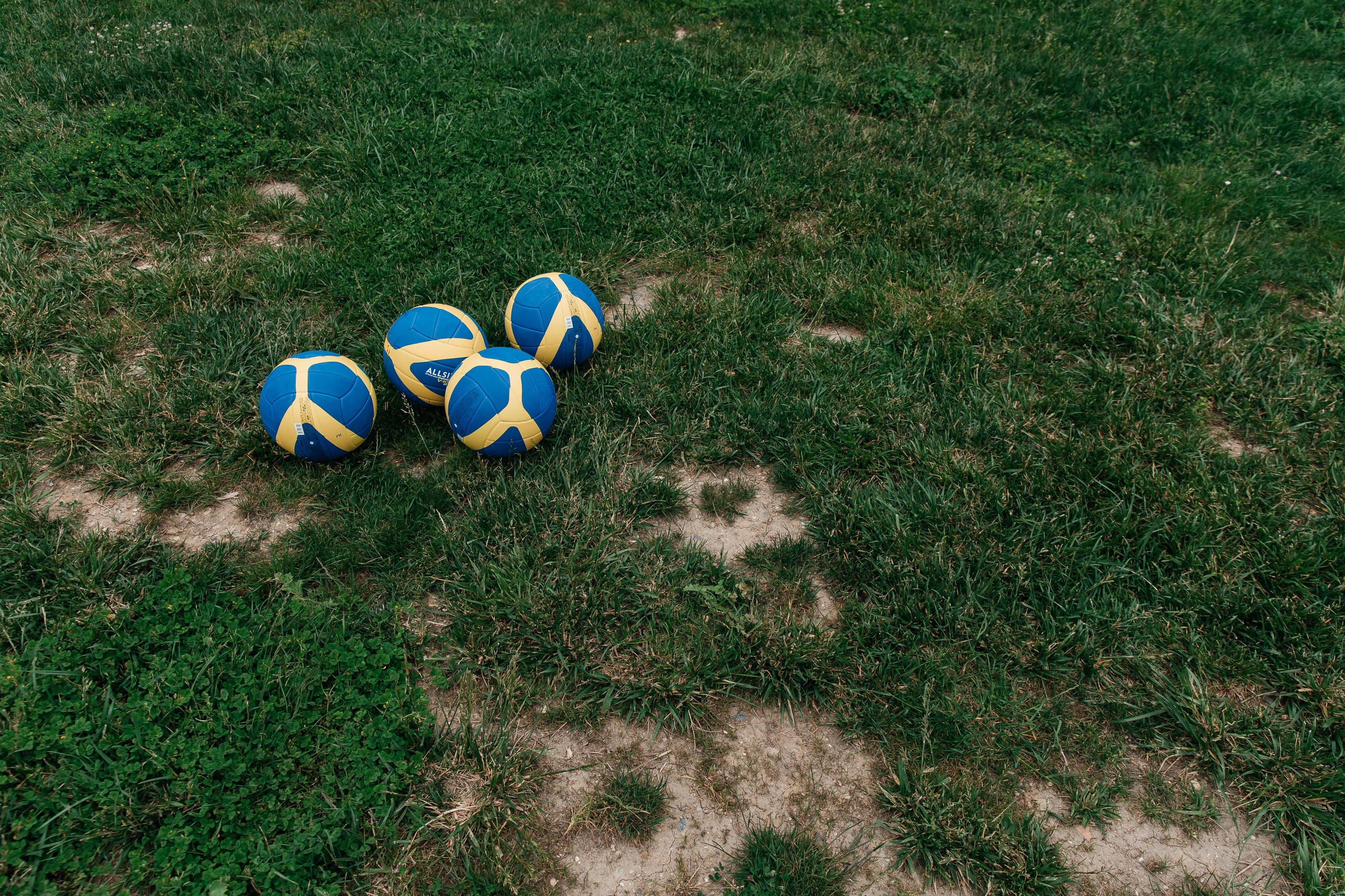 Yandex Family Day. Свадебный и репортажный фотограф