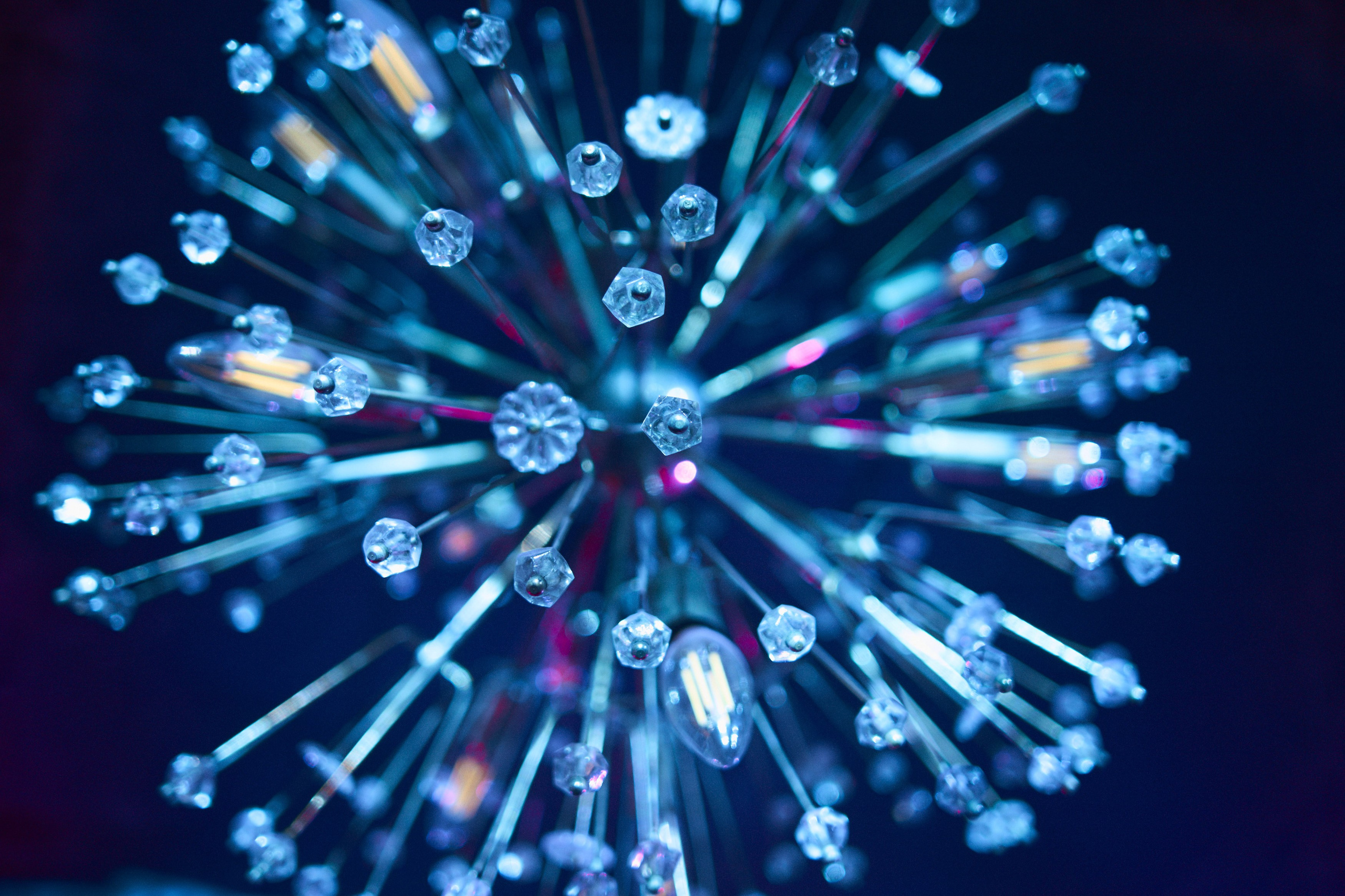 День рождения Ольги. Фотограф Олег Сотник