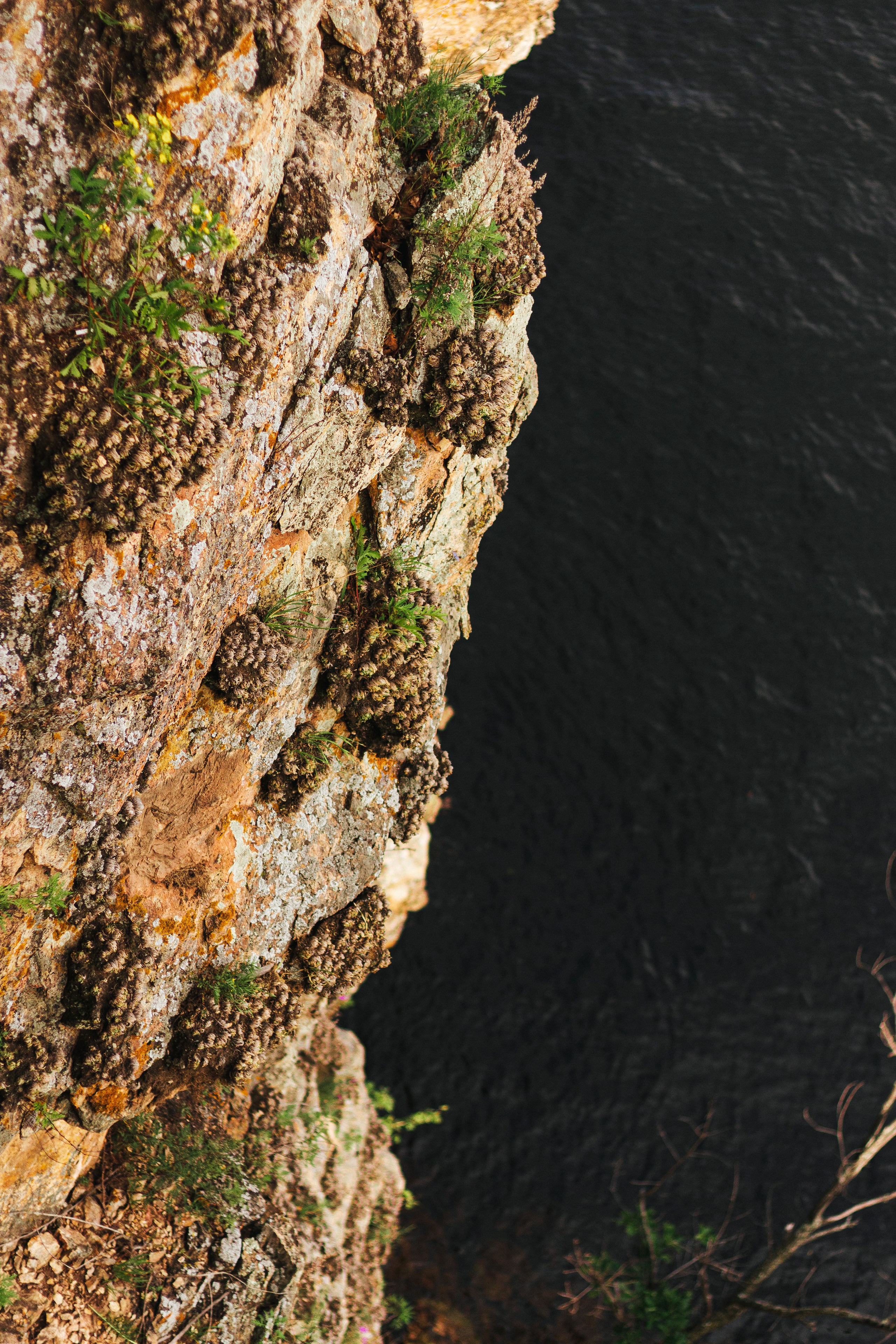 Пинежье летом. Фотограф Благовещенска Яна