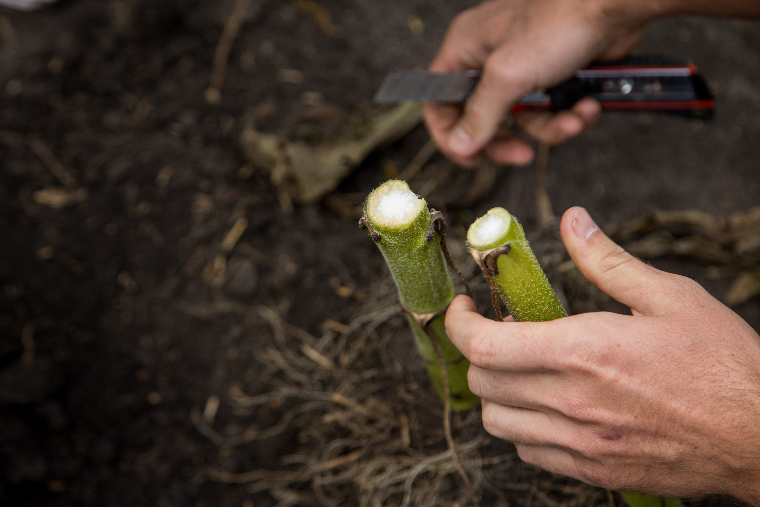 Решения для сельского хозяйства BASF 16.08.2022. Владислав Волков | Фотография и видеосъемка в Воронеже