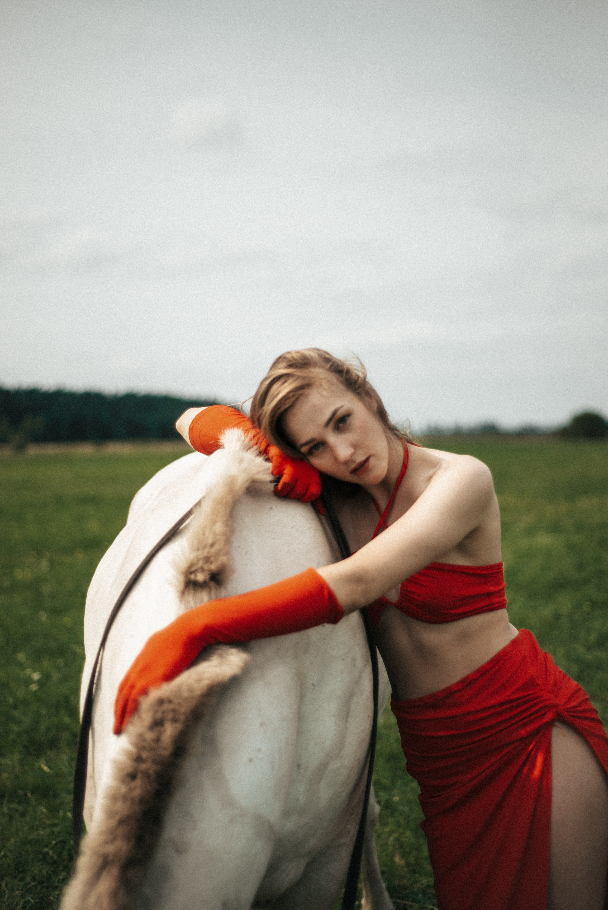 Horse. Фотограф