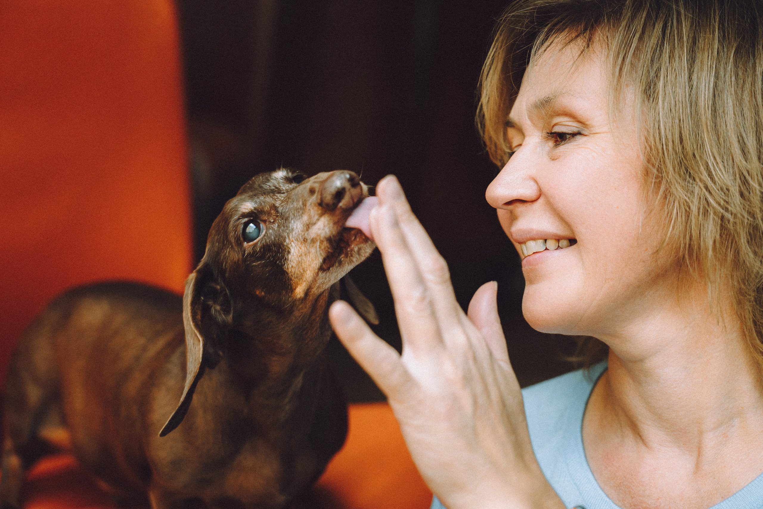 Кокос, Света, Динара и Вилли