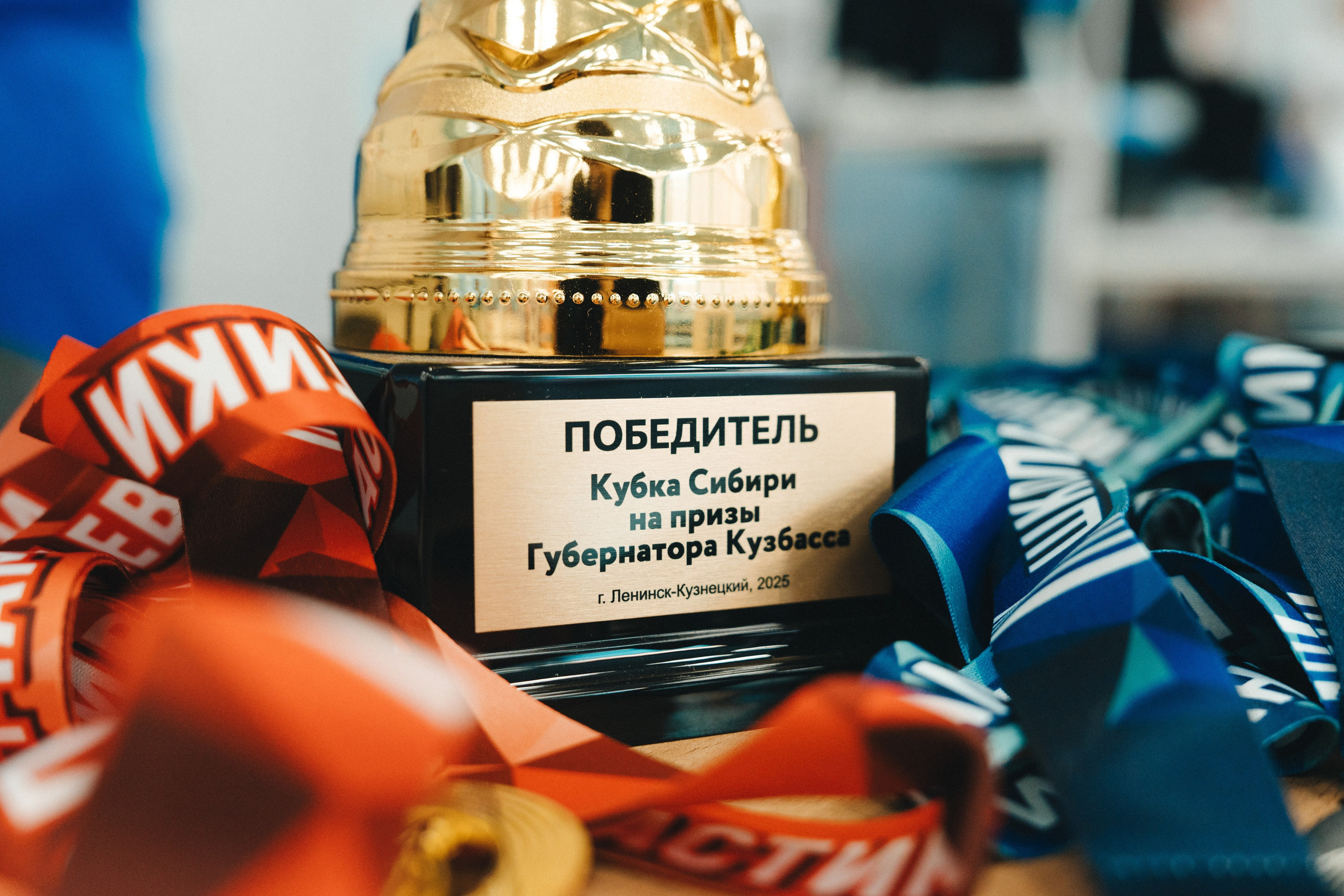 Всероссийские спортивные соревнования «ХXIV Кубок Сибири на призы Губернатора Кузбасса» по спортивной гимнастике | Ленинск-Кузнецкий | 2025